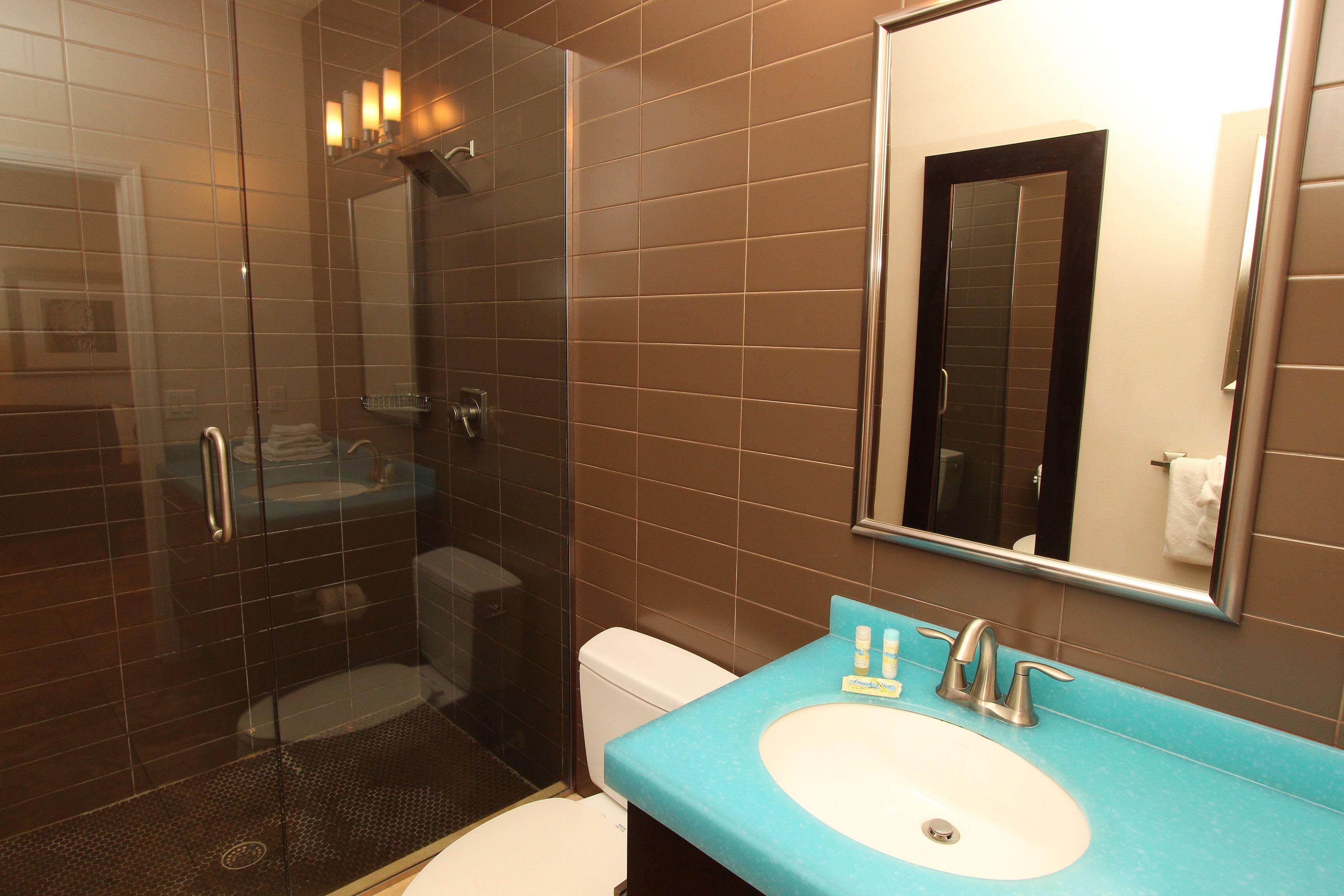 Deluxe One-Bedroom Apartment