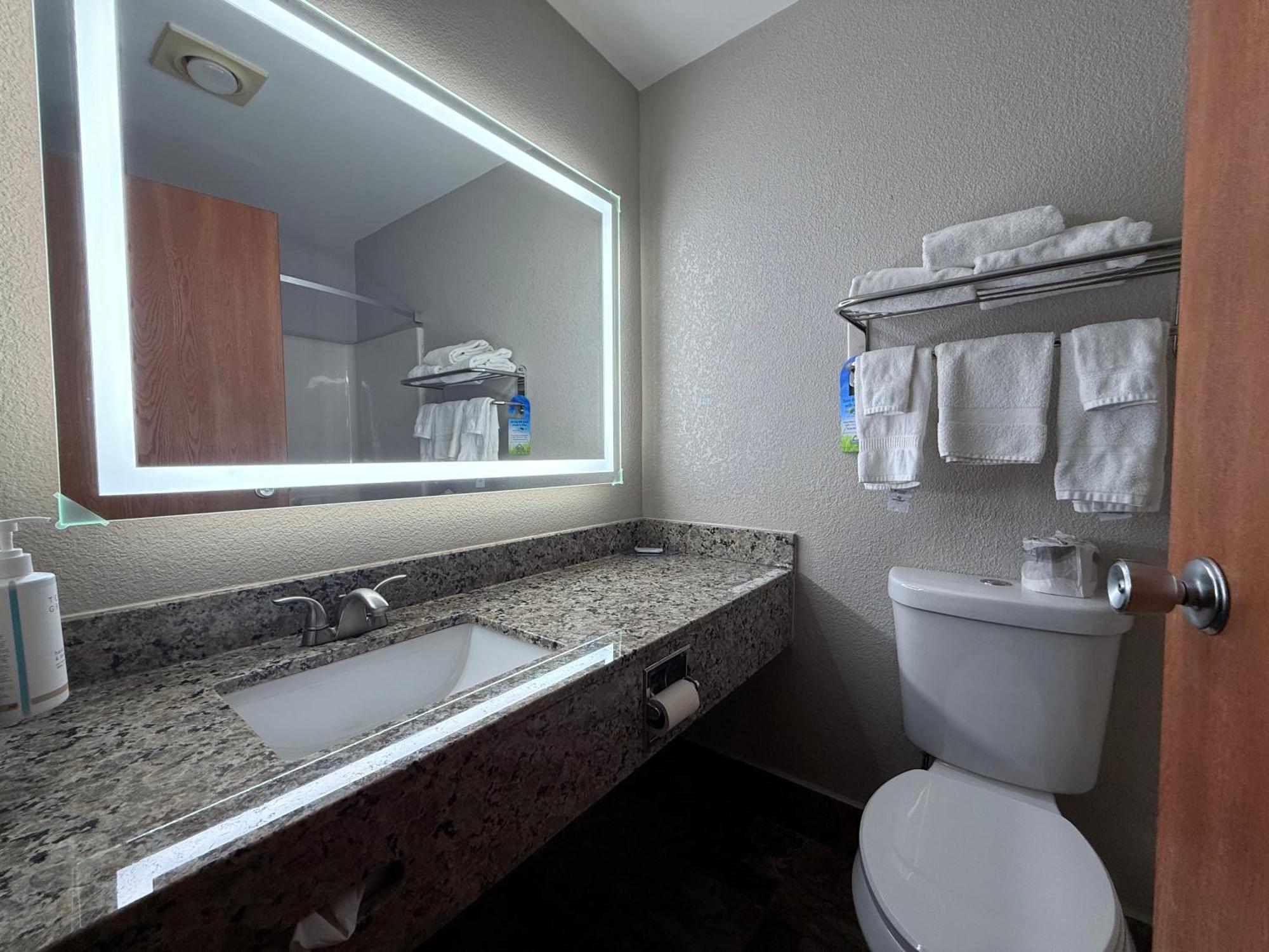 King Studio Suite Non-Smoking
