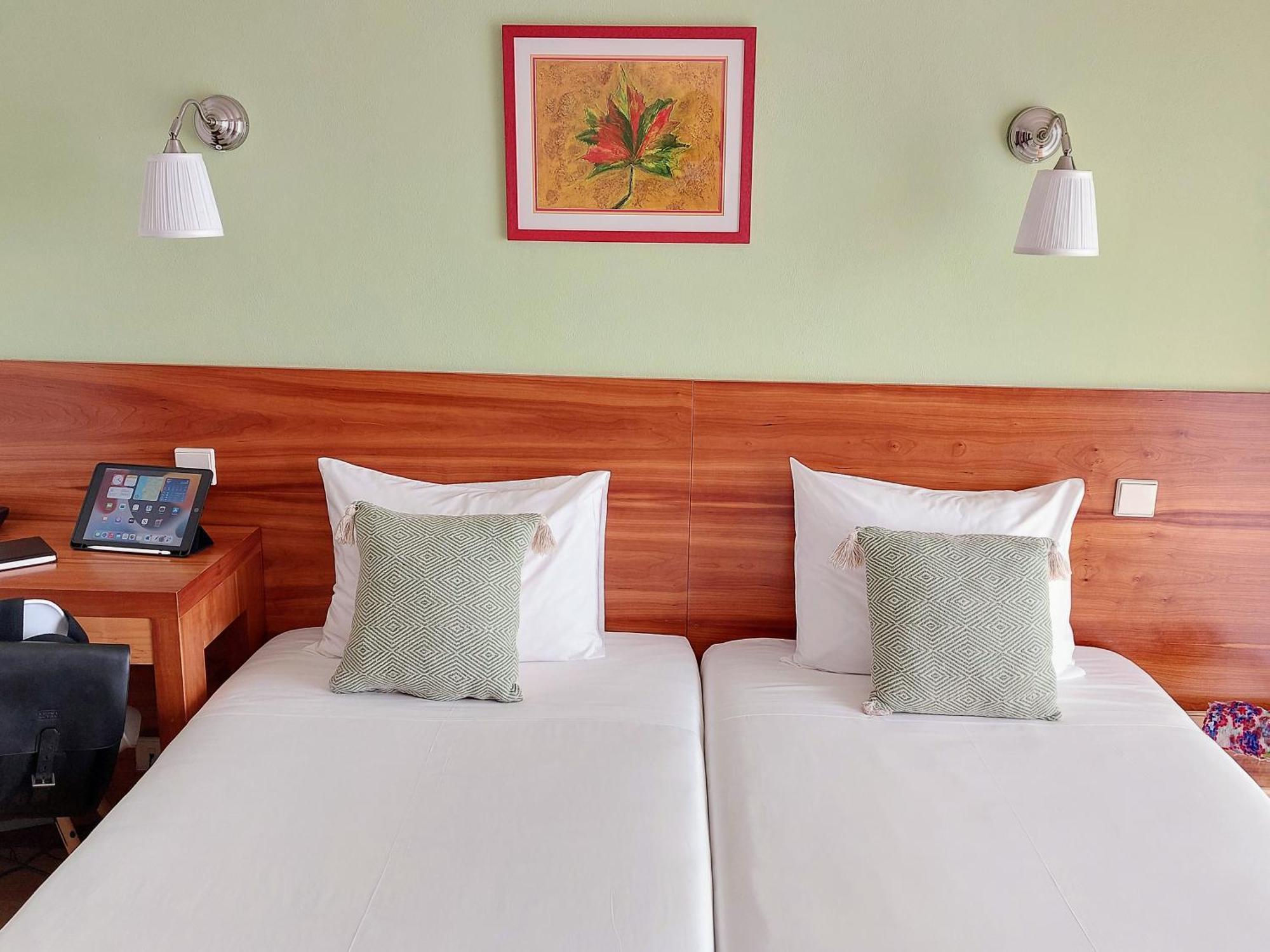 Economy Twin Room Balcony