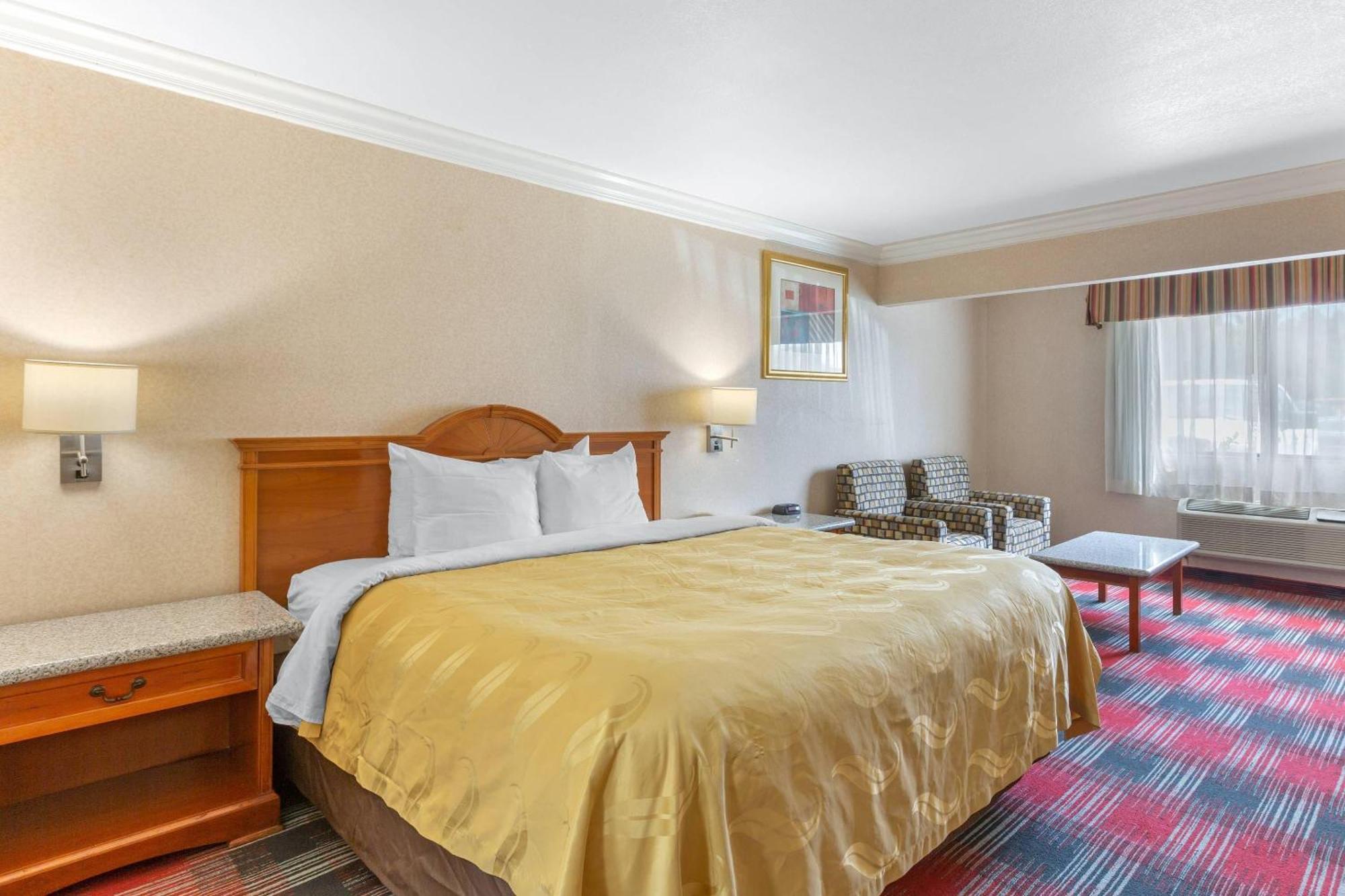 Standard Room 1 King Bed Non Smoking