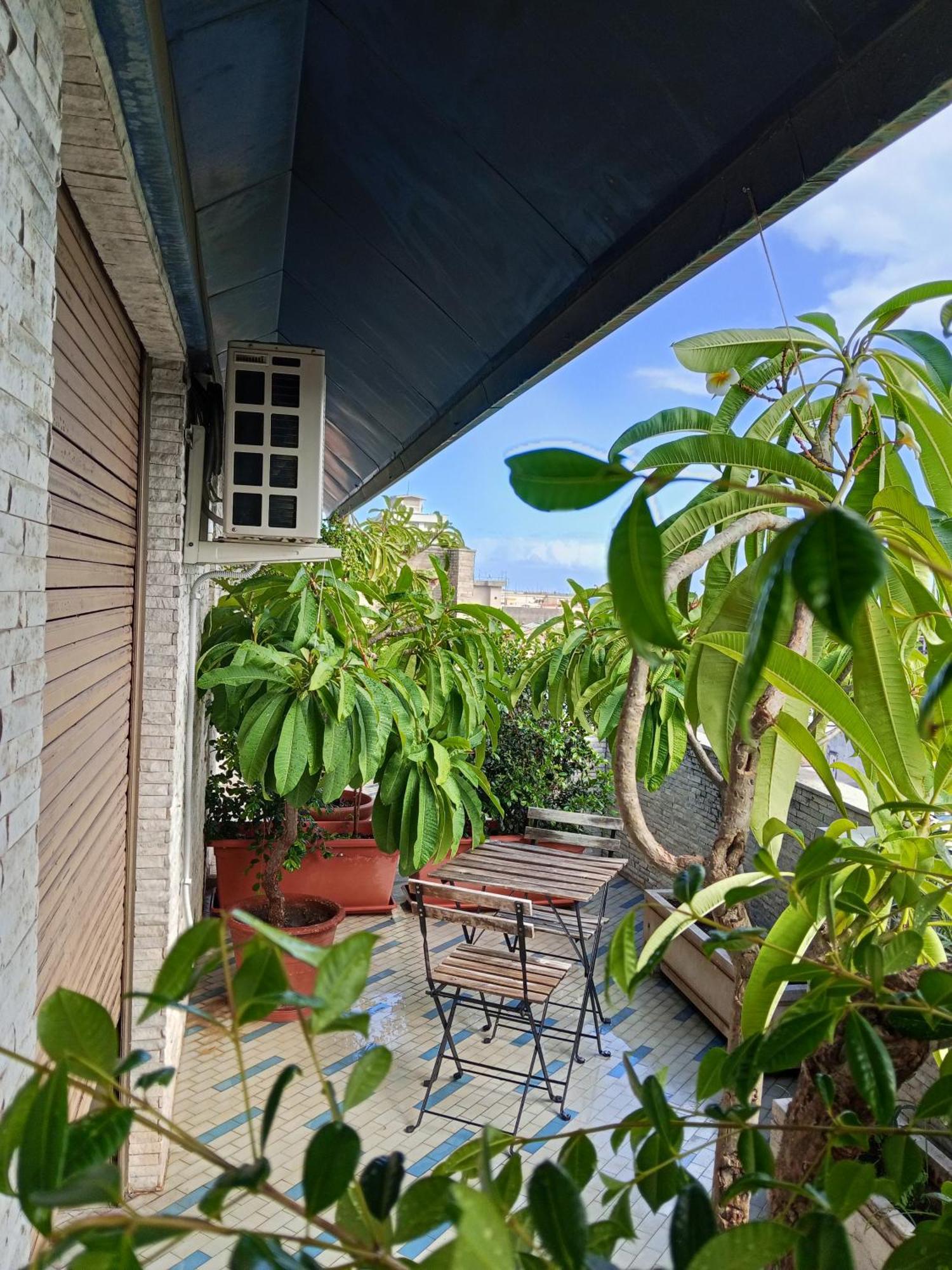 Double or Twin Room Terrace