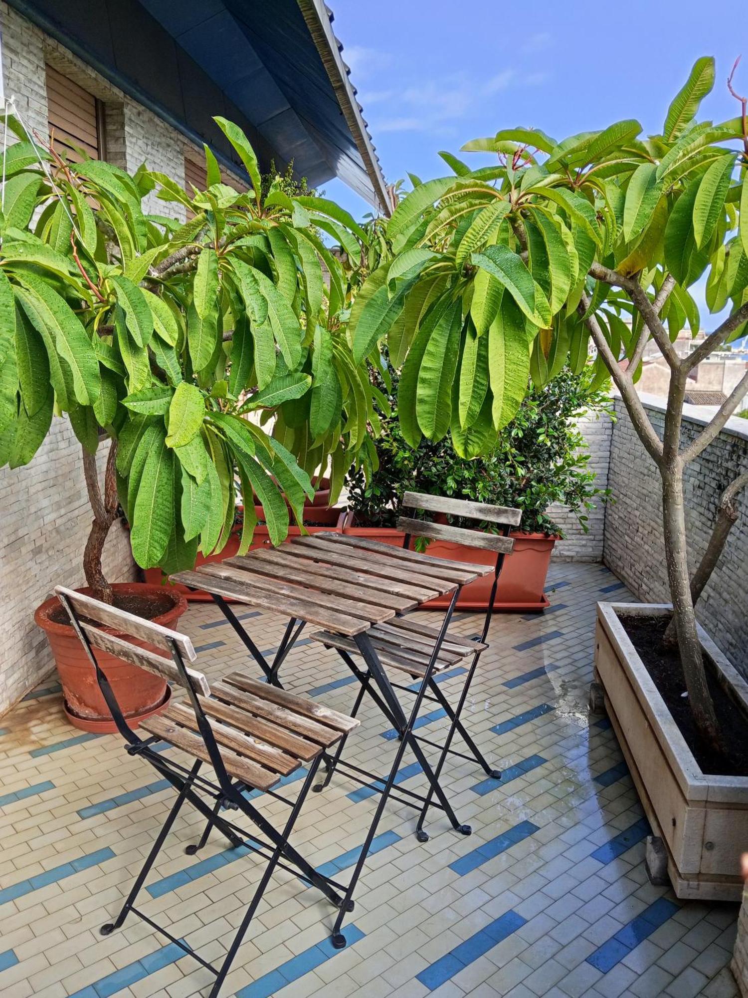 Double or Twin Room Terrace