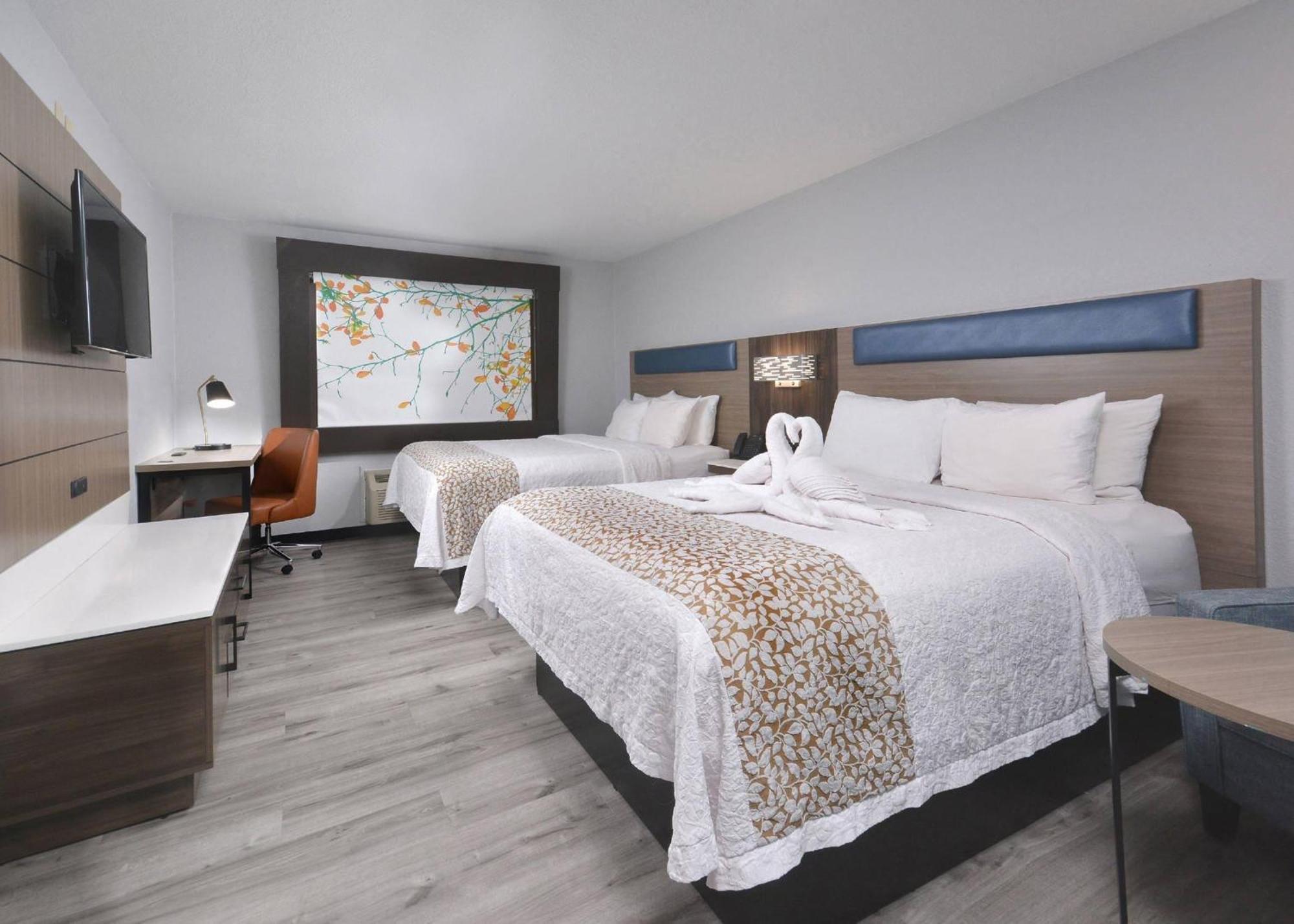 Queen Room Two Queen Beds Non-Smoking