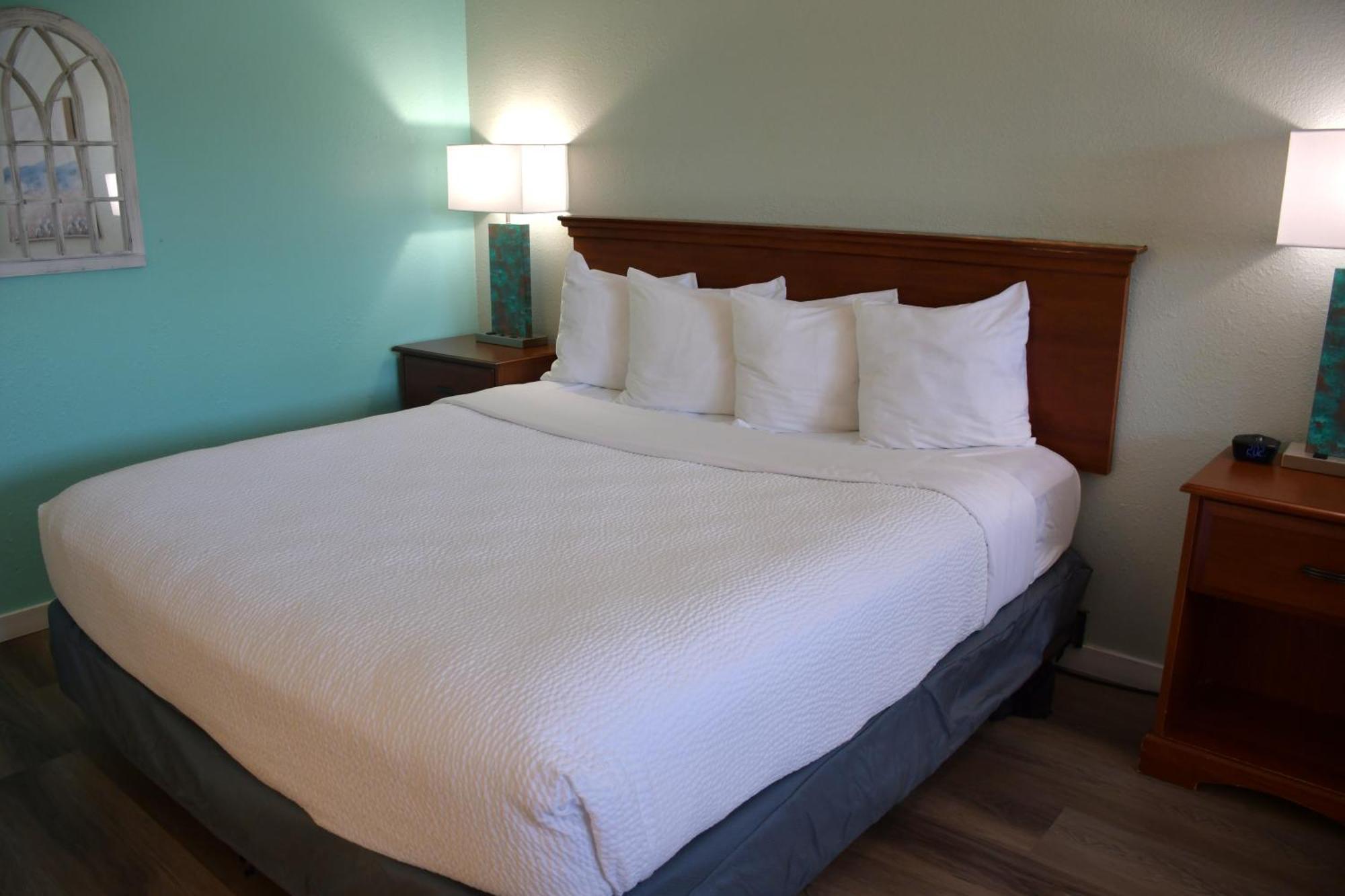 King Room Non-Smoking Pet Friendly
