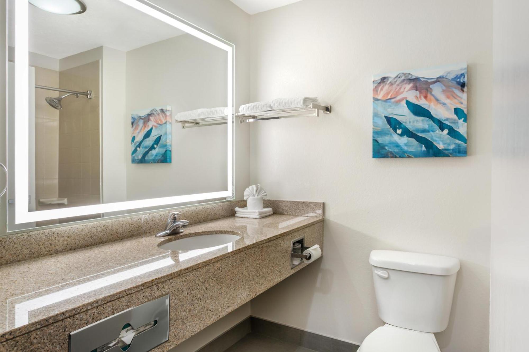 King Room Pet Friendly or Non-Smoking