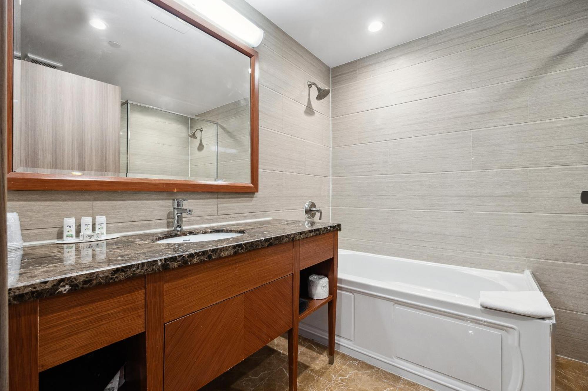King Room Mobility Accessible Bathtub Grab Bars