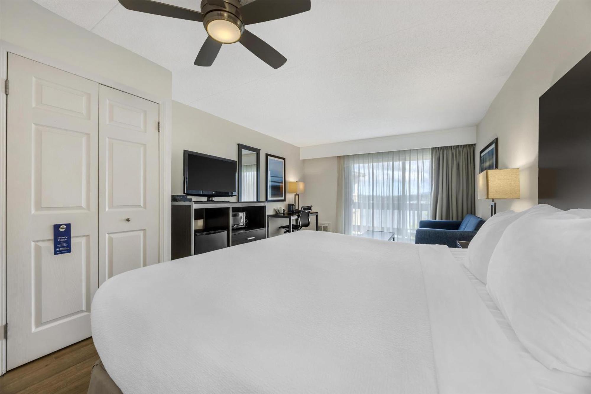 Pet Friendly, 1 King Bed, Balcony