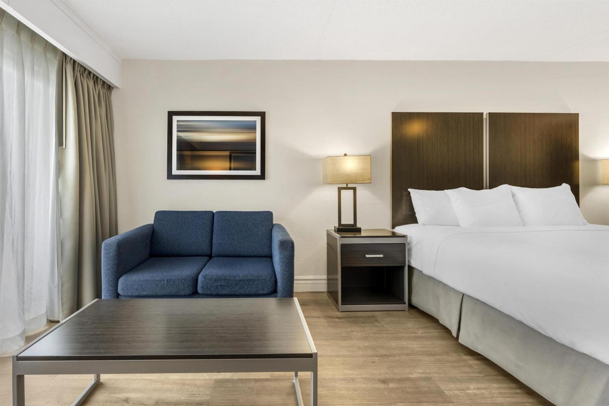 Pet Friendly 1 King Bed Balcony