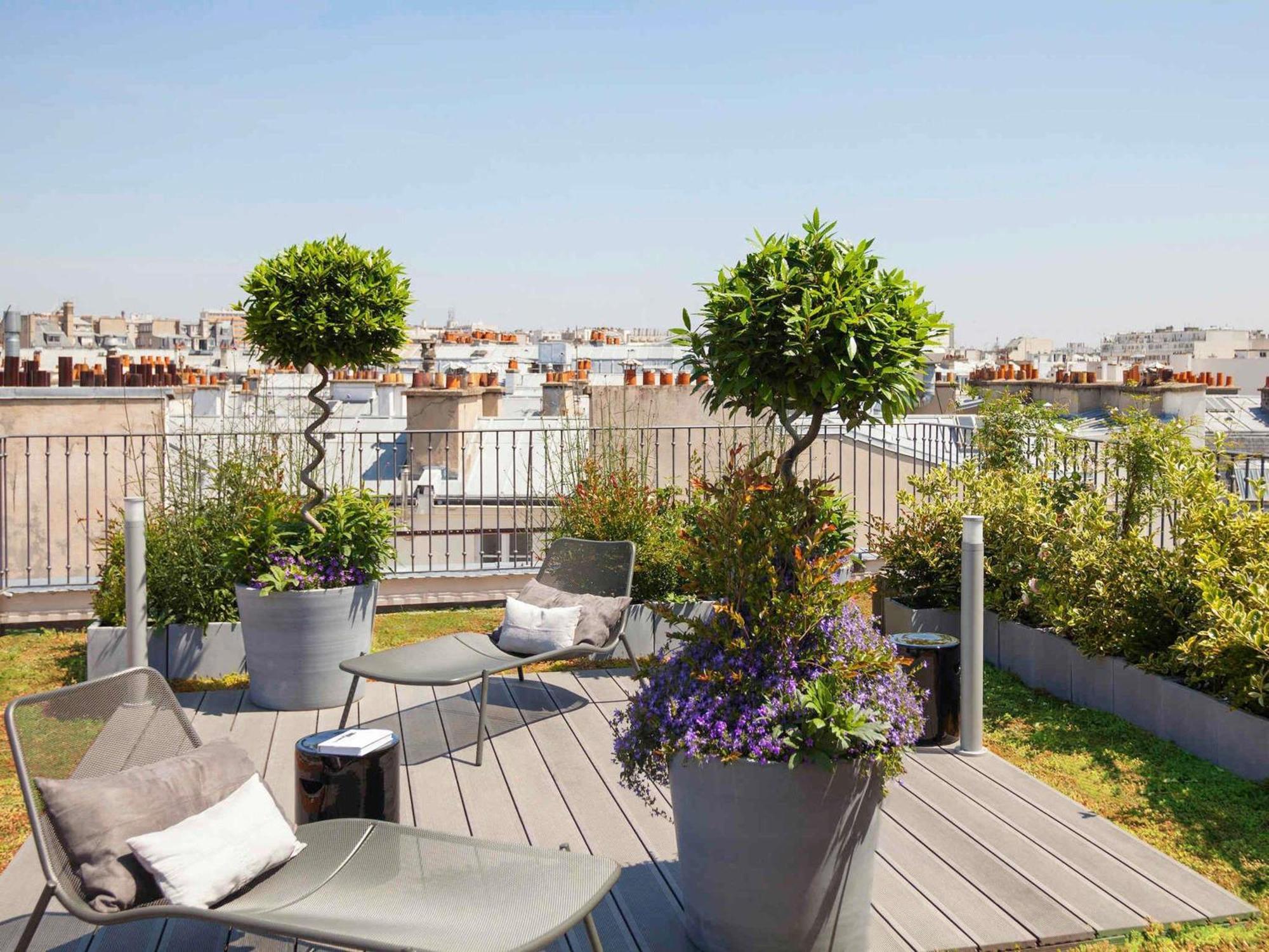 Deluxe Suite One King Bed Terrace