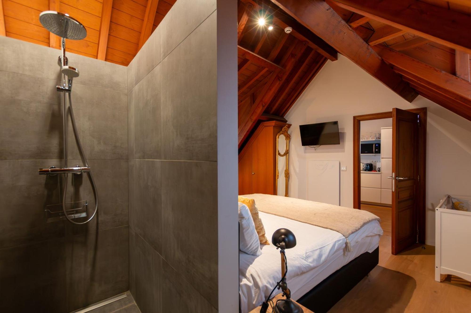 Deluxe Suite double bed or 2 single beds