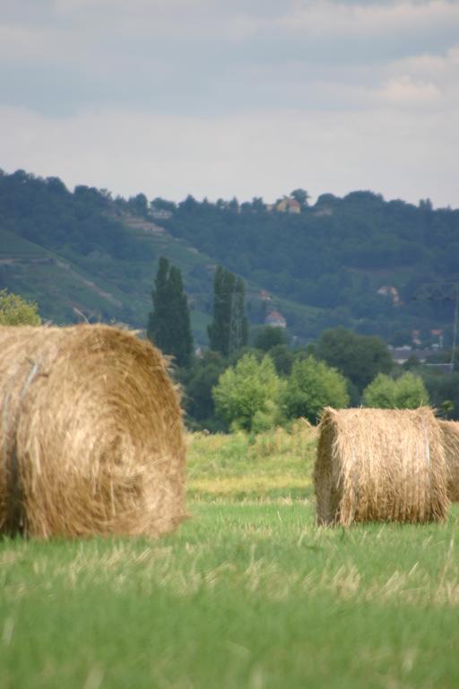 Sleeping Bag Hayloft