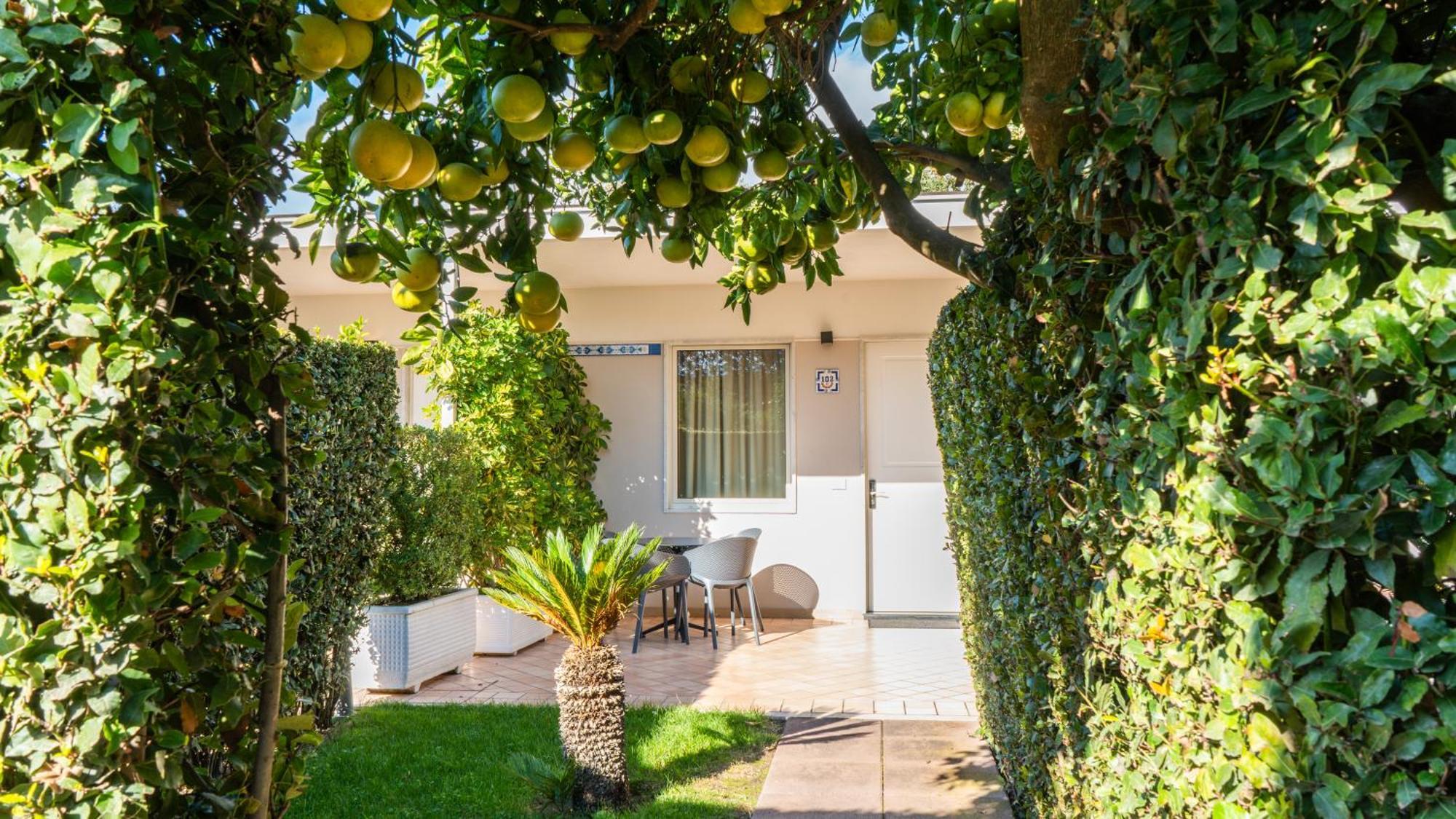 Superior Double Room Garden
