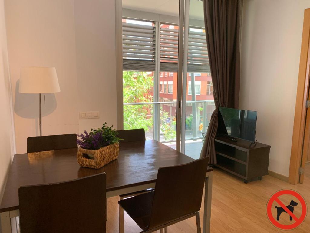 Apartamento de 1 dormitorio con terraza