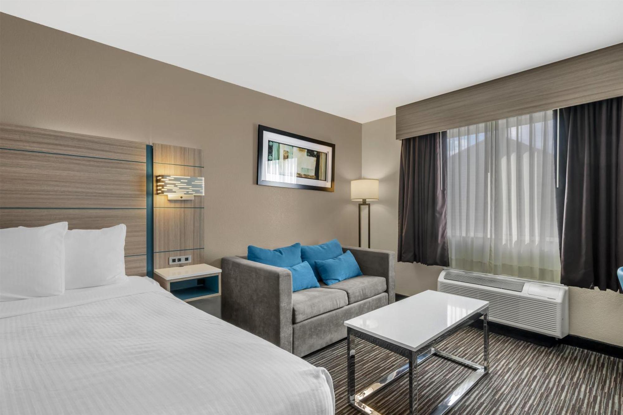 King Room Sofa Bed Pet Friendly or Non-Smoking