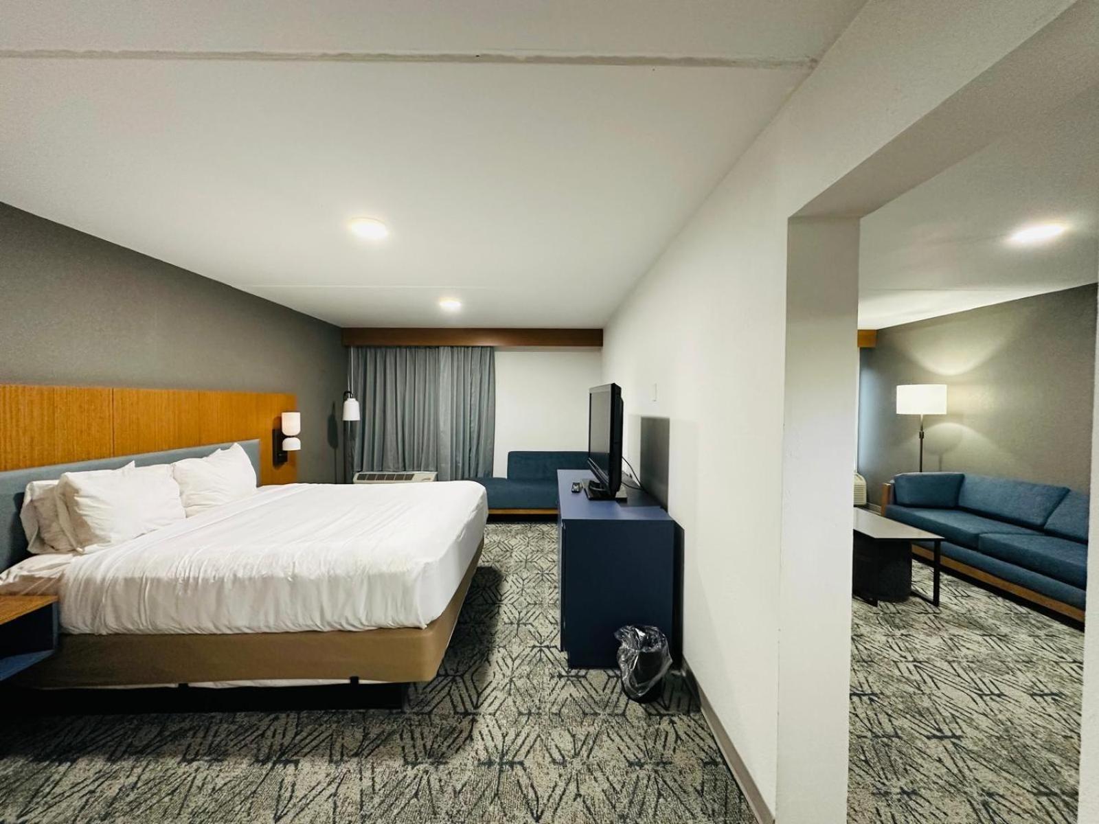 Suite - King Bed Non - Smoking