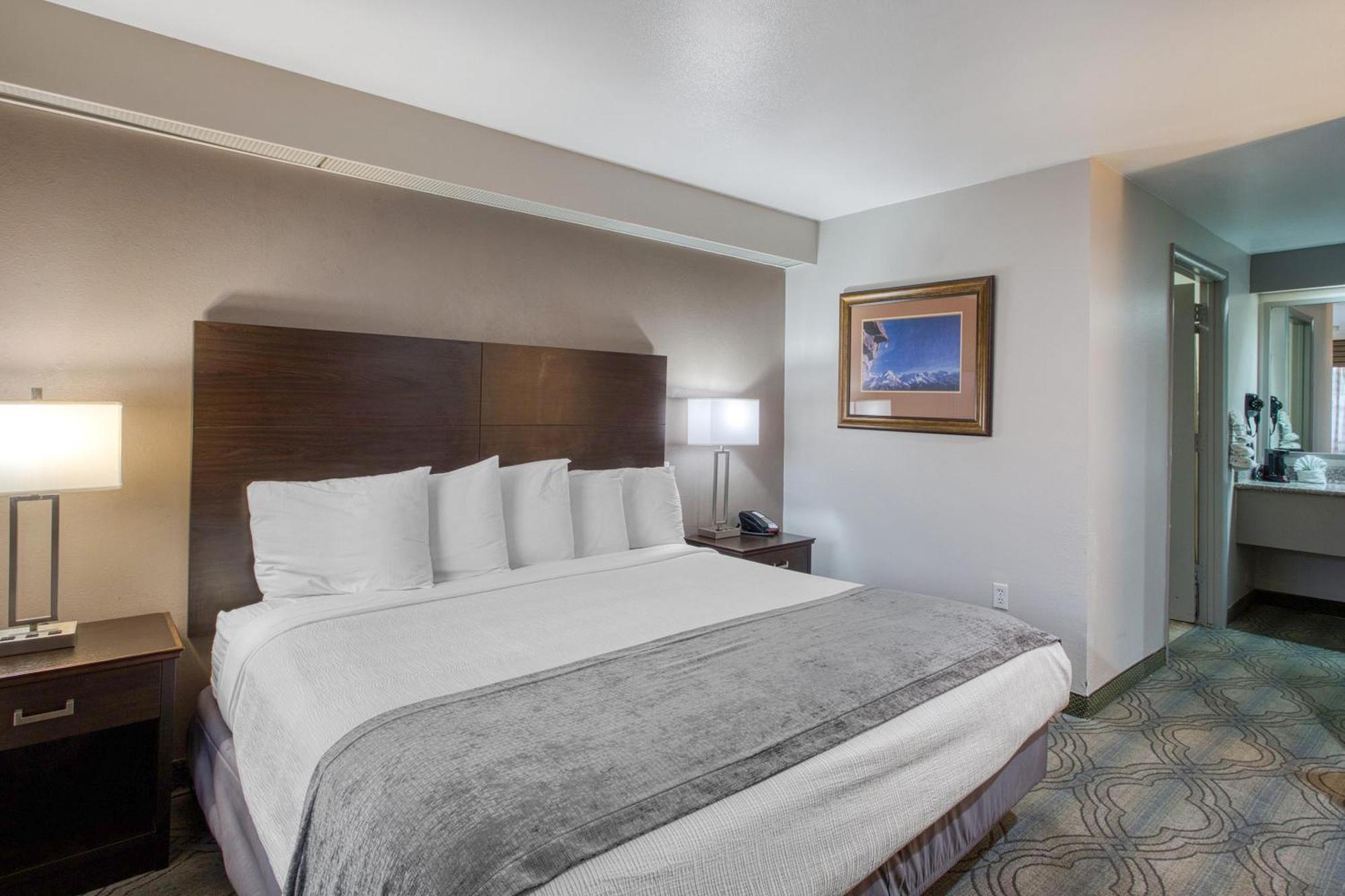 King Room Roll Shower Mobility Accessible