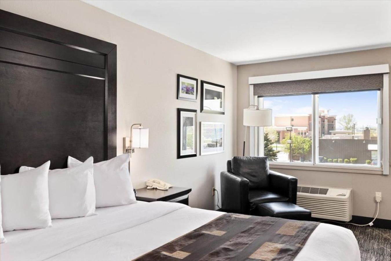 King Room,1742704922:JPEG