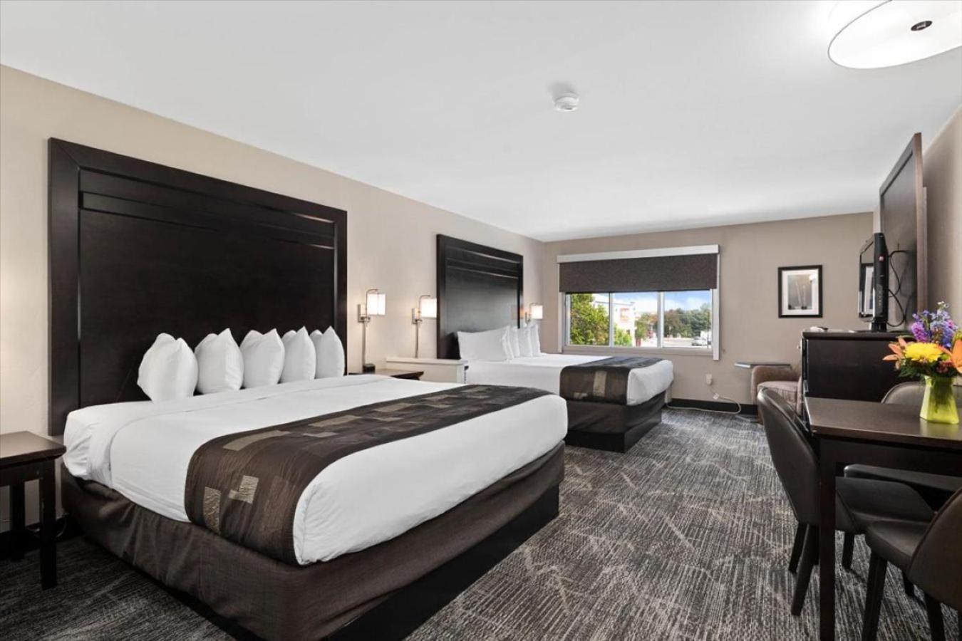 King Room Two King Beds