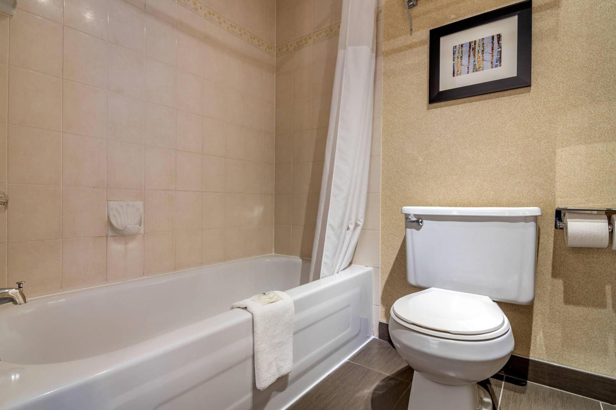 King Suite Jacuzzi