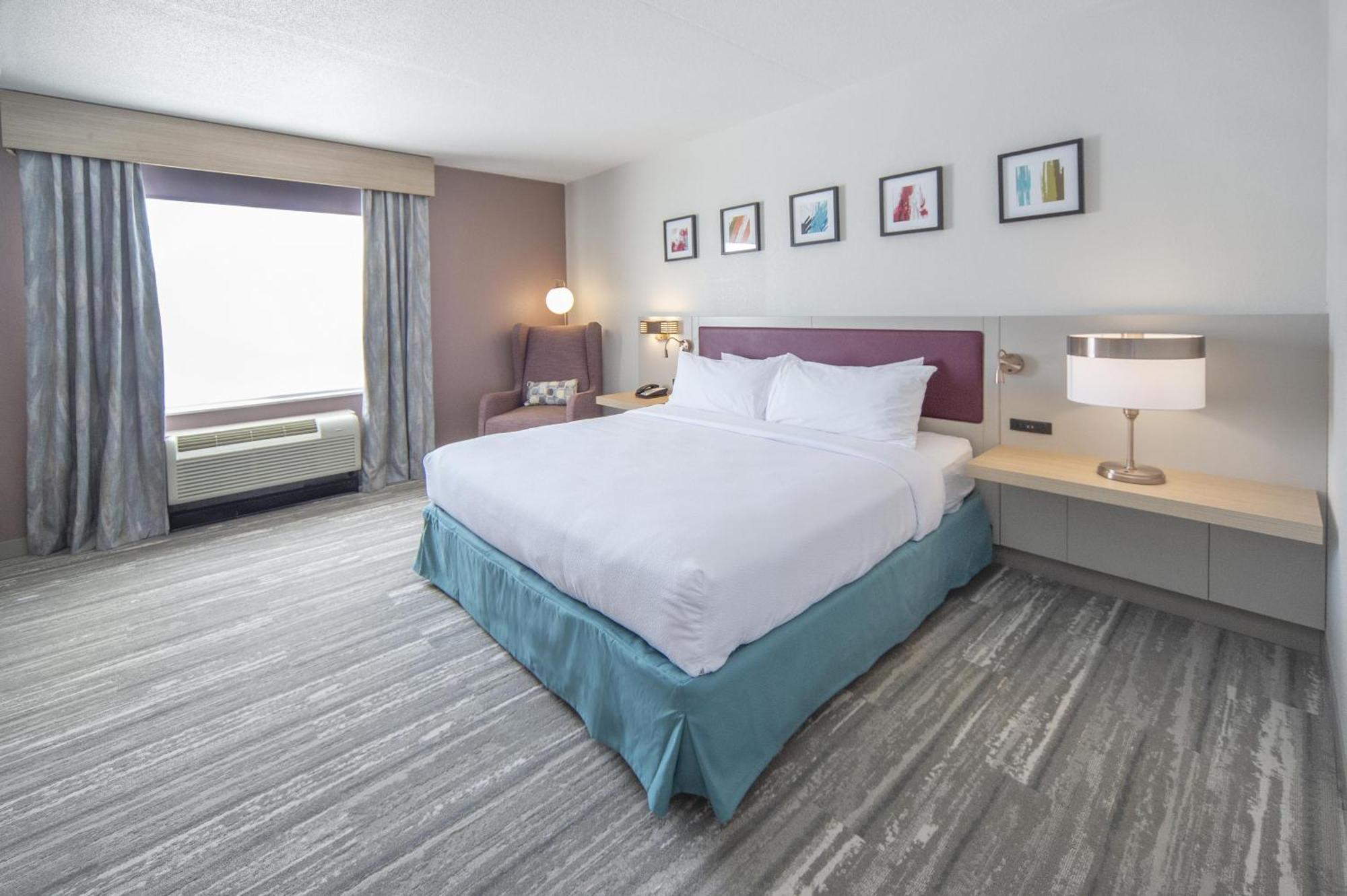 Evolution King Room