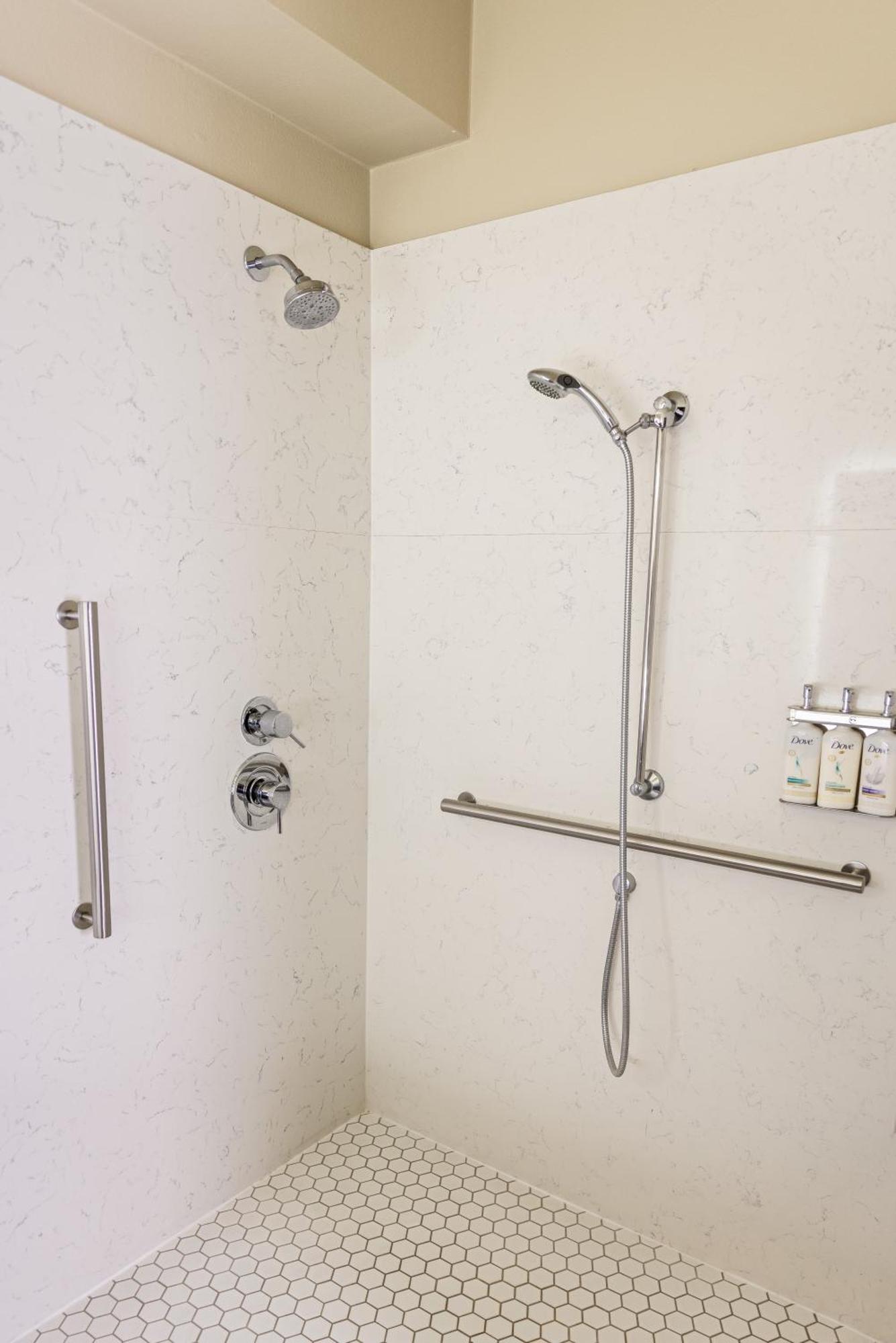 Standard King Room Mobility Accessible Roll Shower