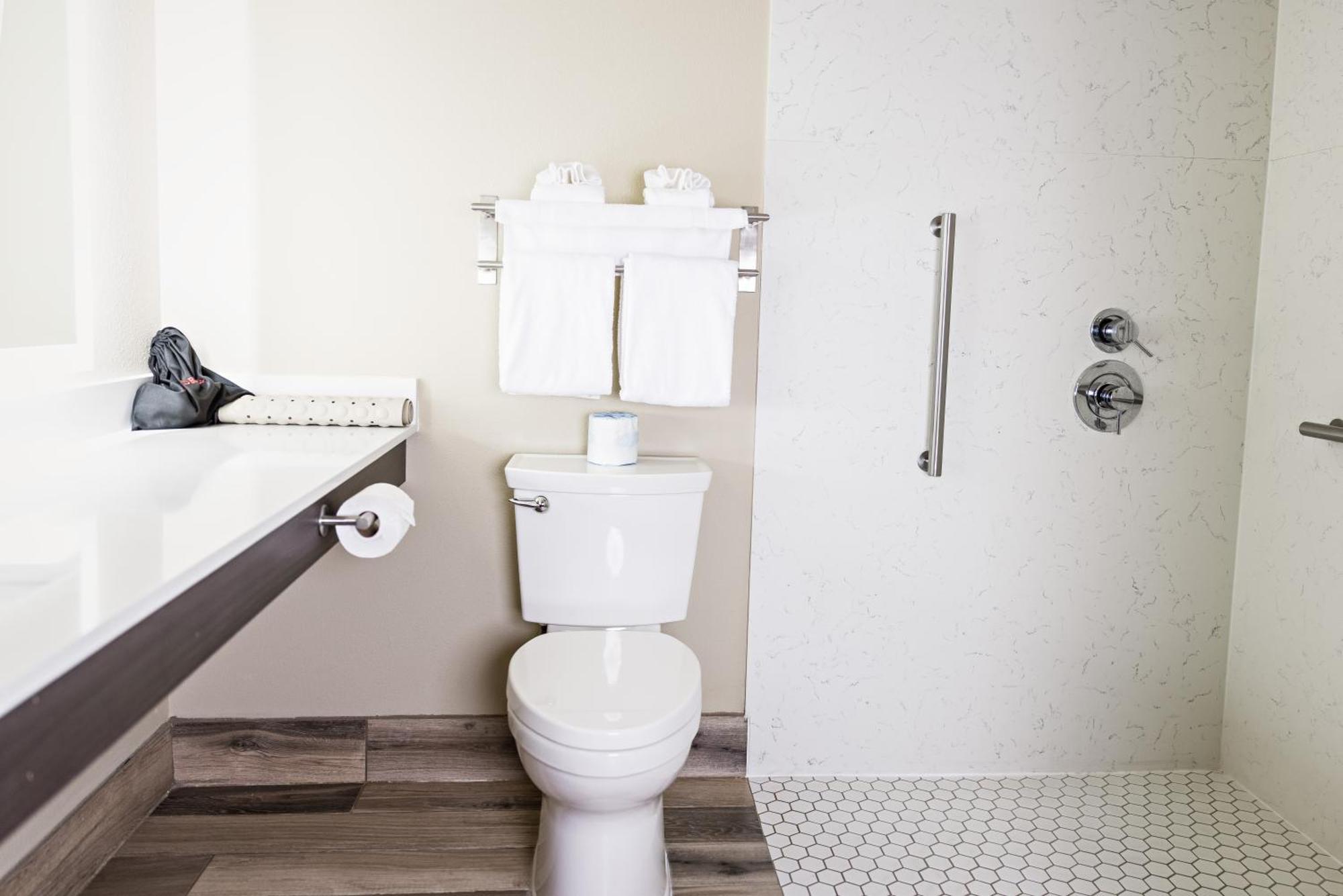 Standard King Room Mobility Accessible Roll Shower