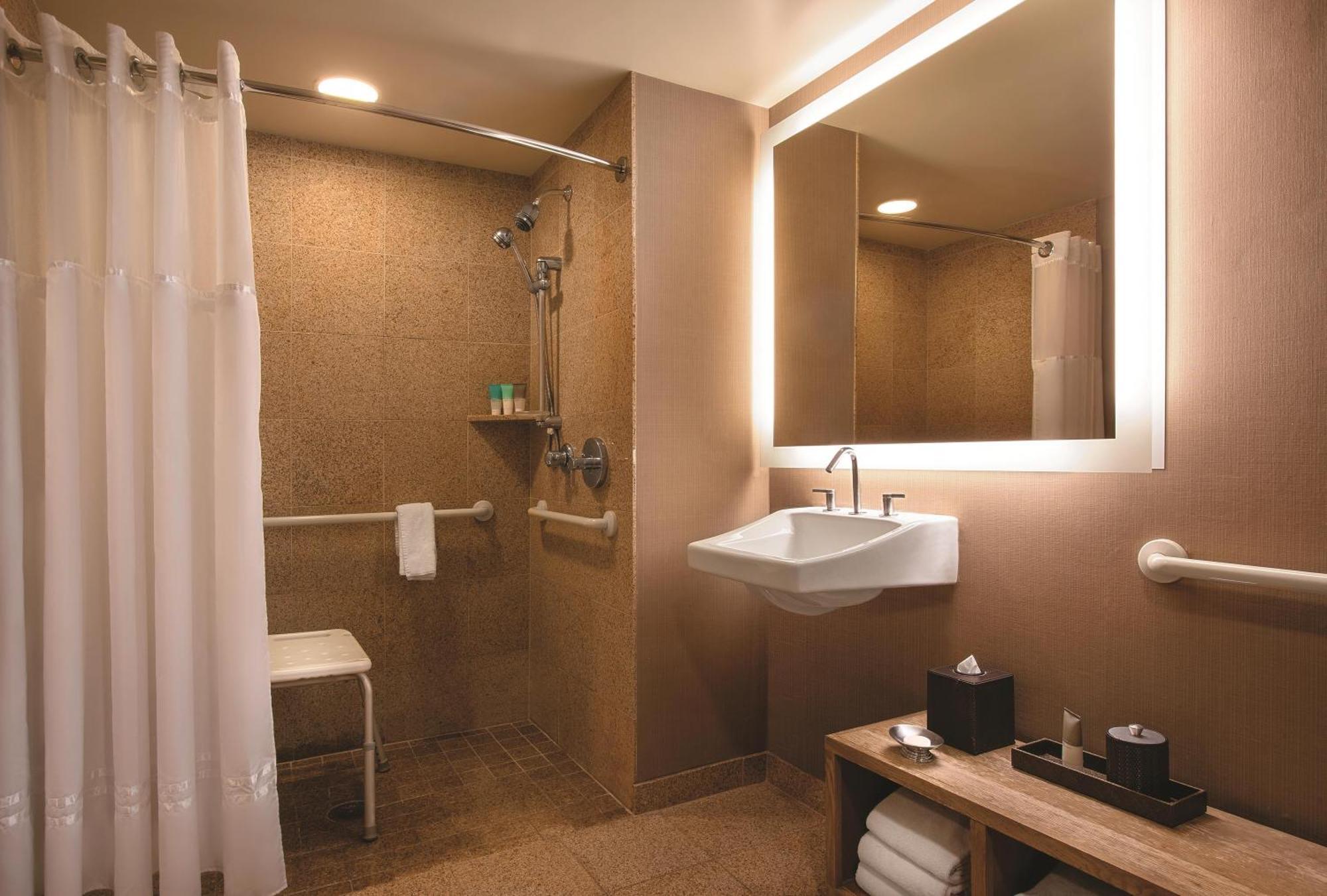 King Room Accessible Shower Disability Access