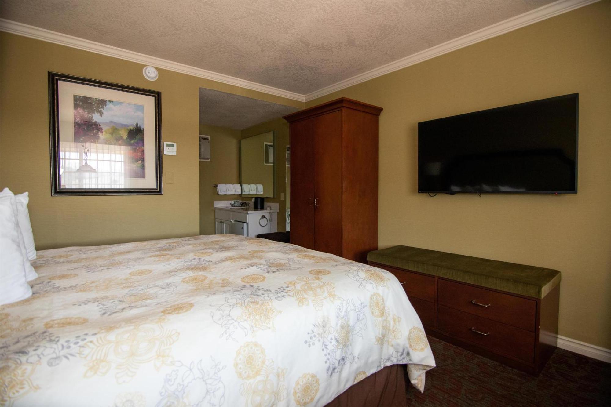 King Room Pet-Friendly