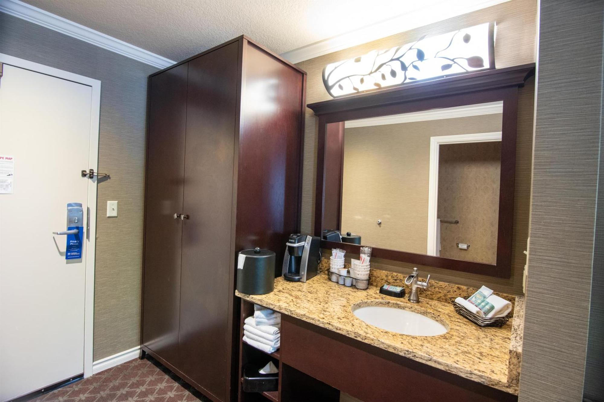 Deluxe King Room - Pet-Friendly