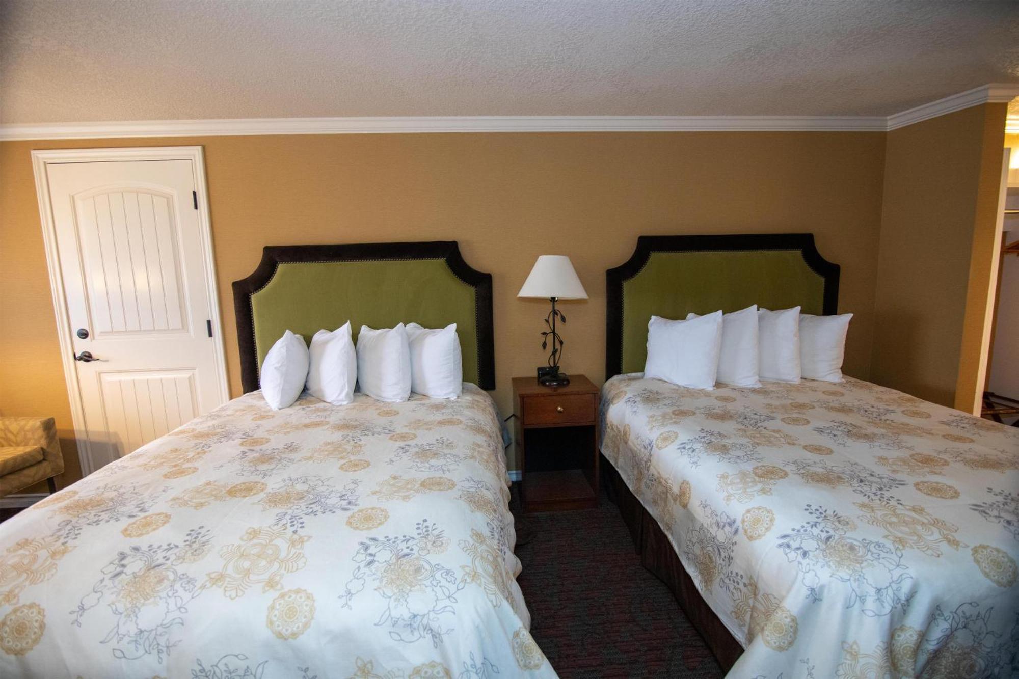 Queen Room Two Queen Beds Pet-friendly