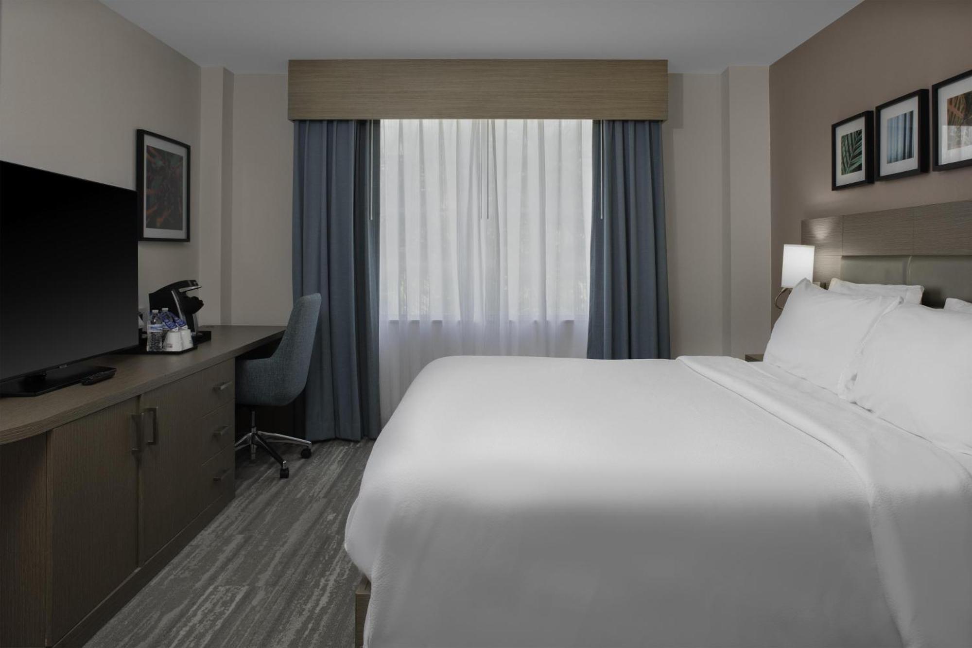 King Room with Roll-In Shower - Mobility/Hearing Accessible,1742904553:JPEG