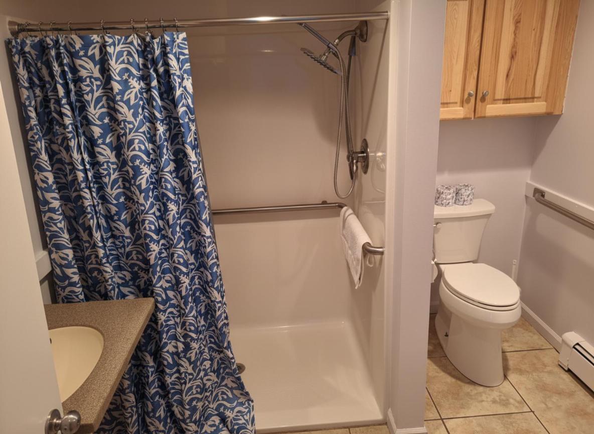 King Room Roll Shower Disability Access