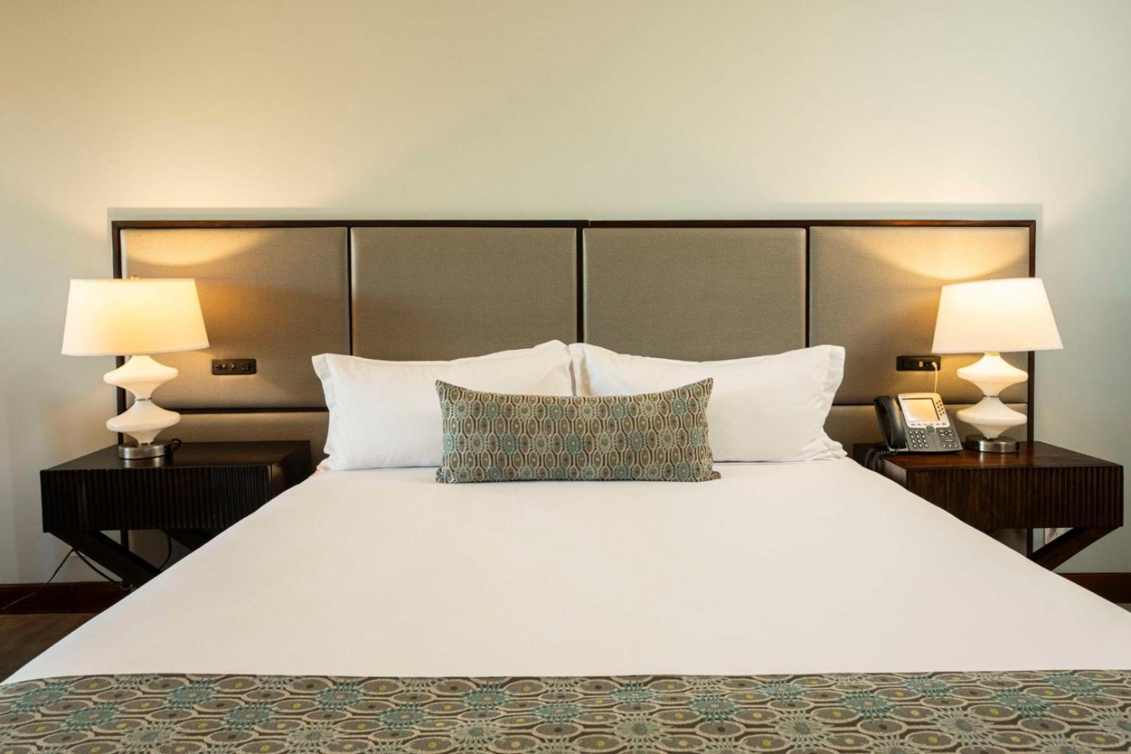 Deluxe Room Mountain View