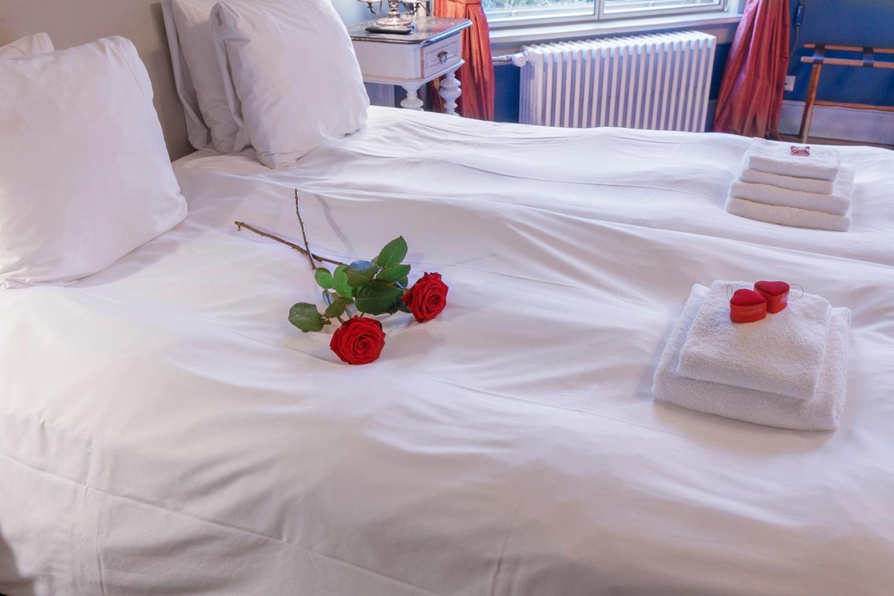 Superior Deluxe Double or Twin Room