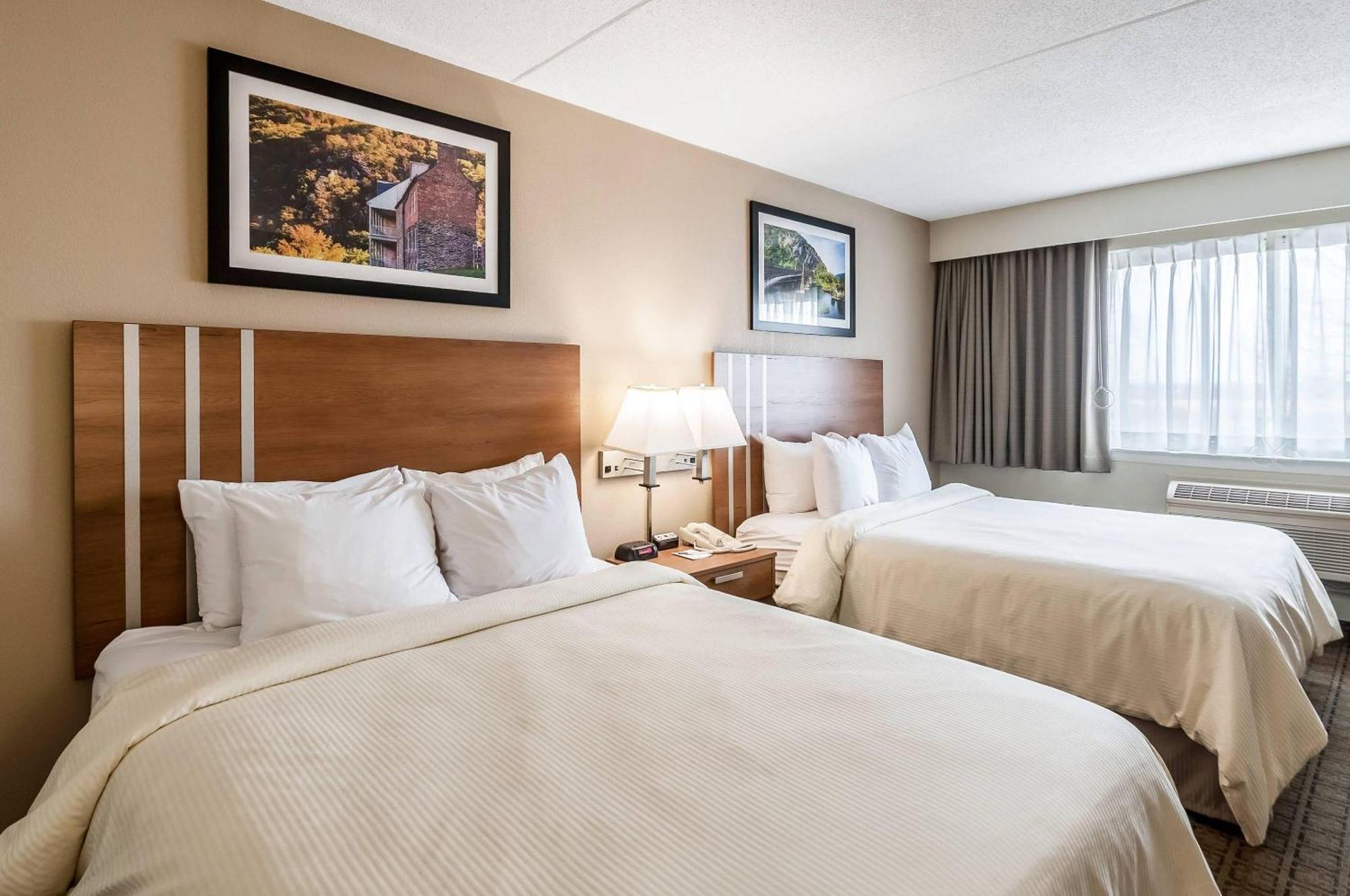Standard Queen Room Two Queen Beds