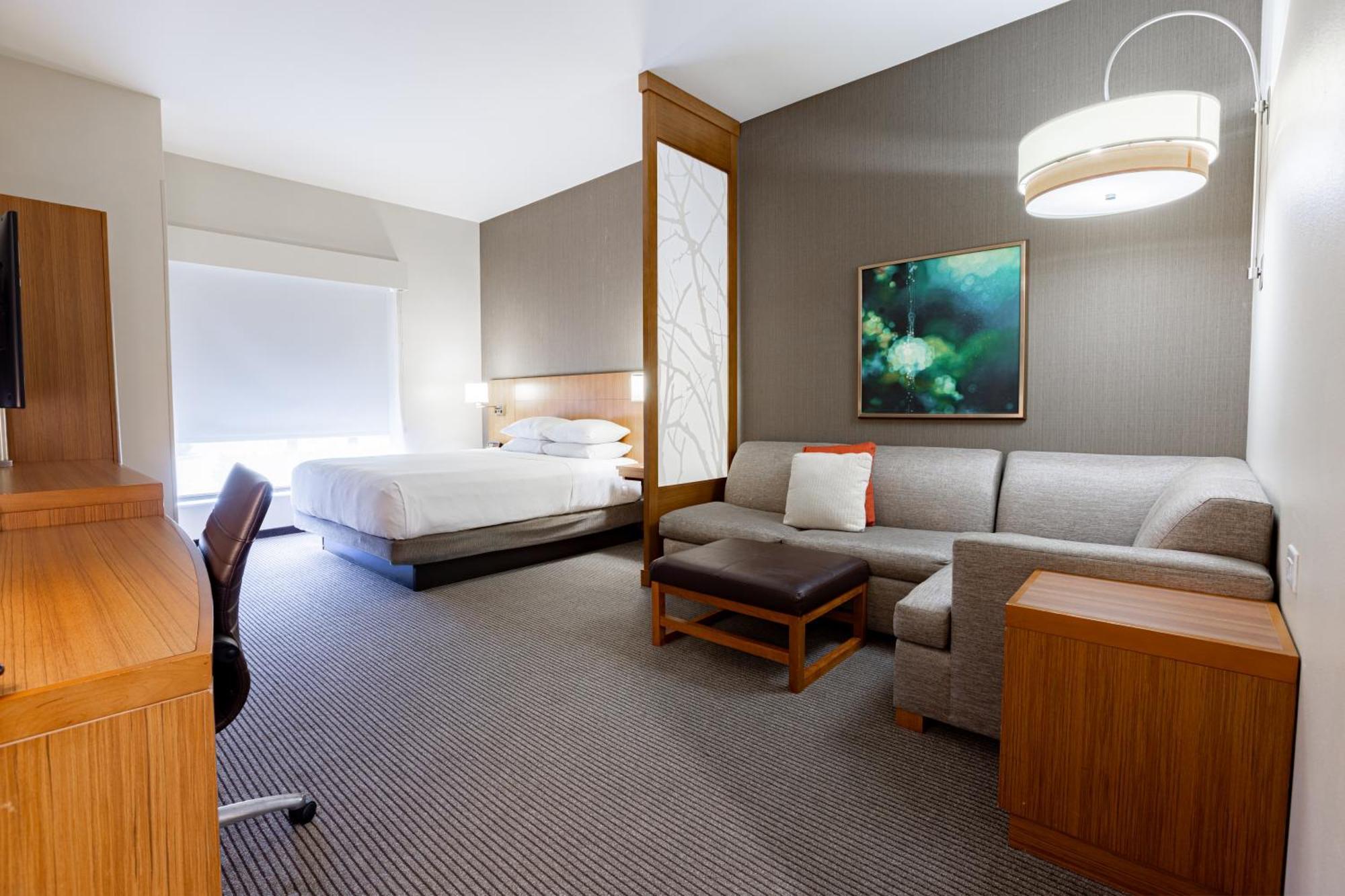 King Room Sofa Bed