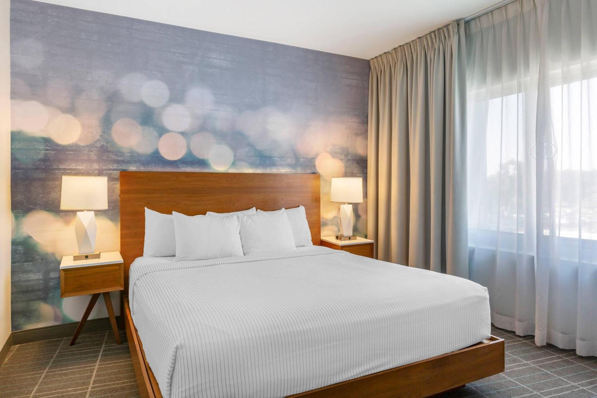 Accessible Suite 1 King Bed Roll Shower Non Smoking