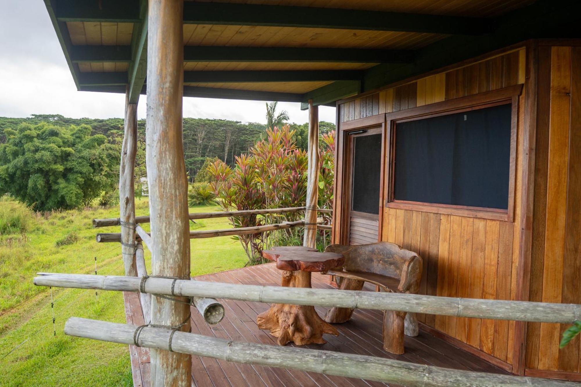 Oceanview Cabin Limited Electricity or