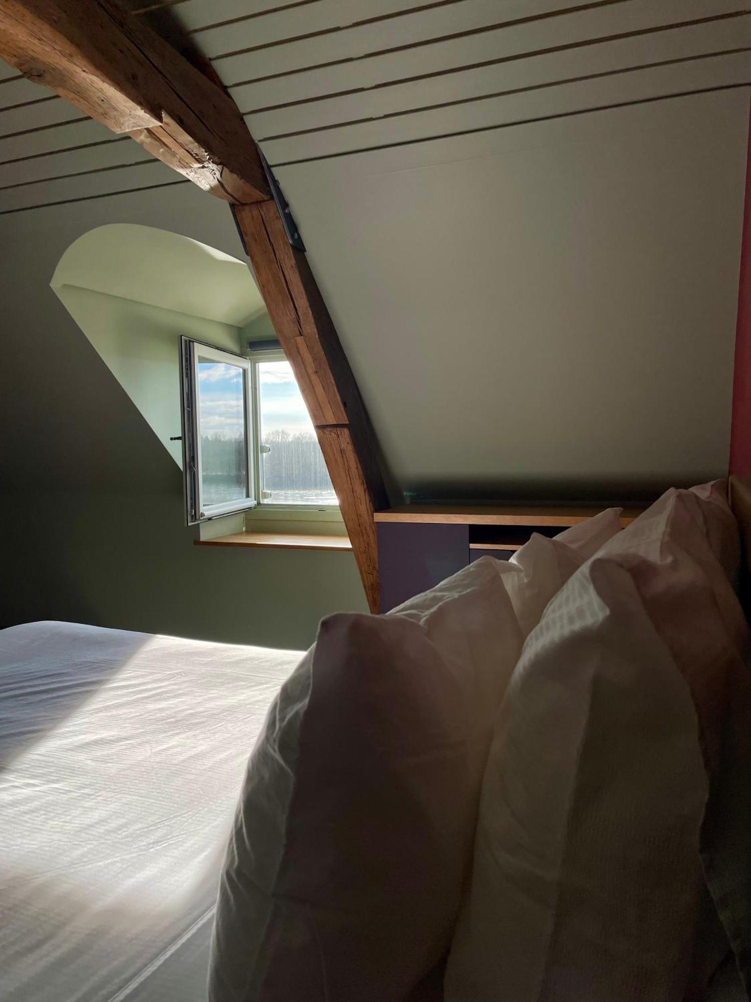 Suite River View