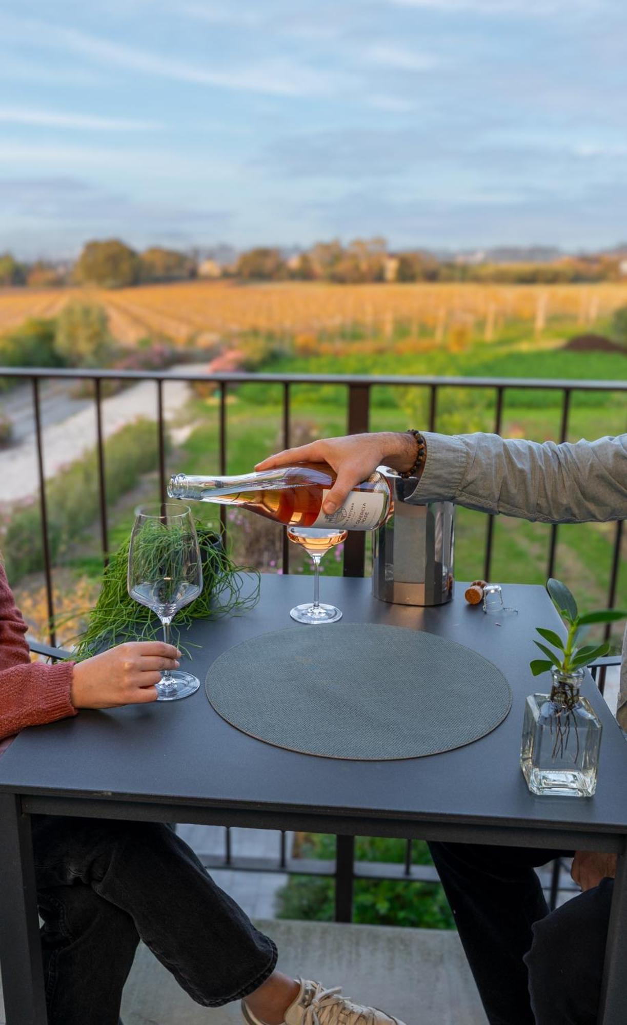 Junior Suite Vineyard View