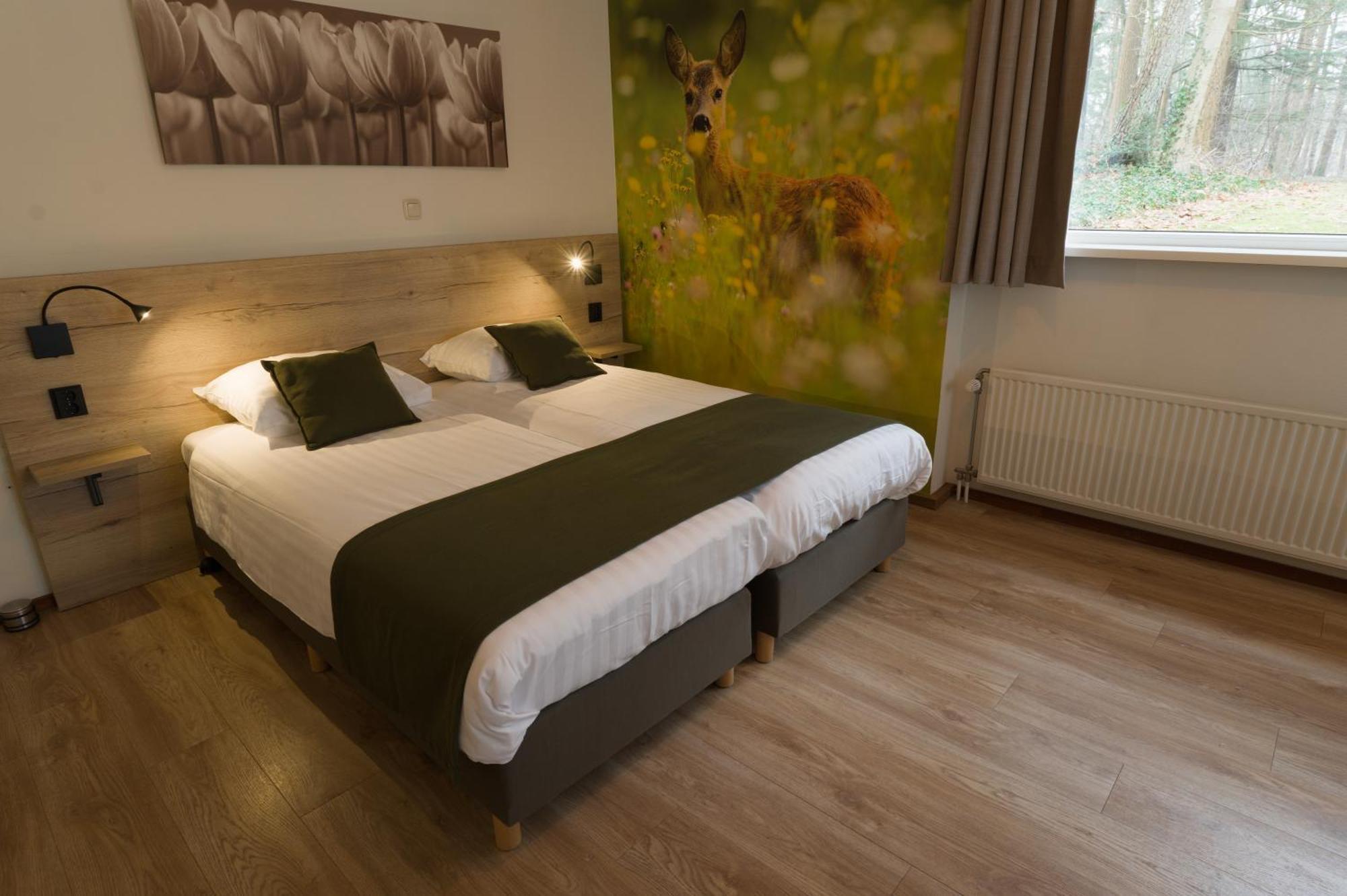 Comfort Twin Room Terrace