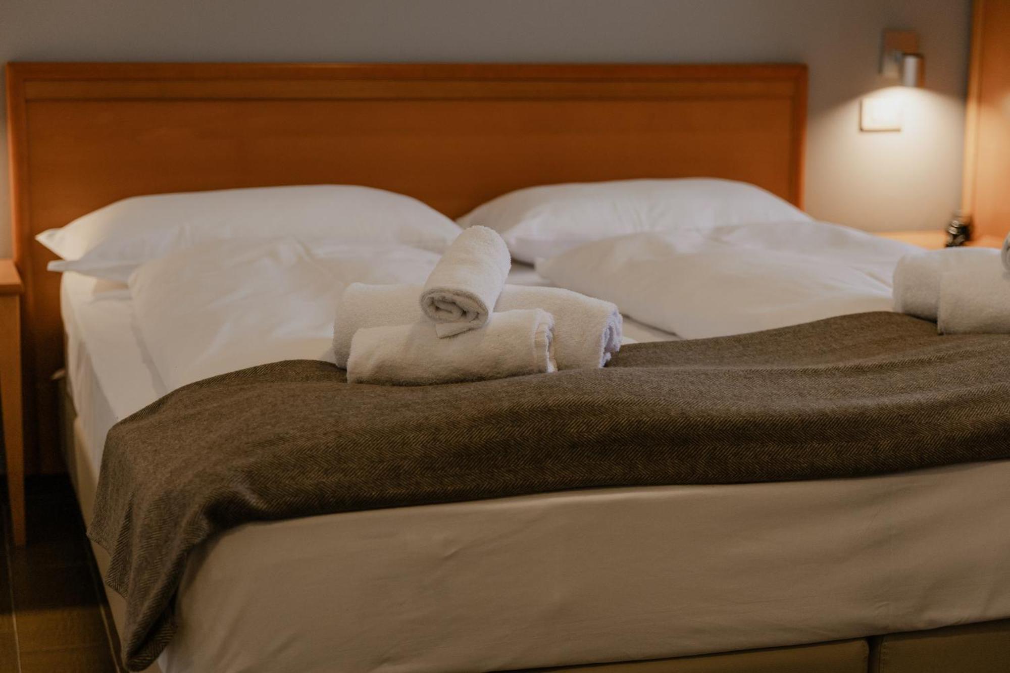 Double or Twin Room Mountain View