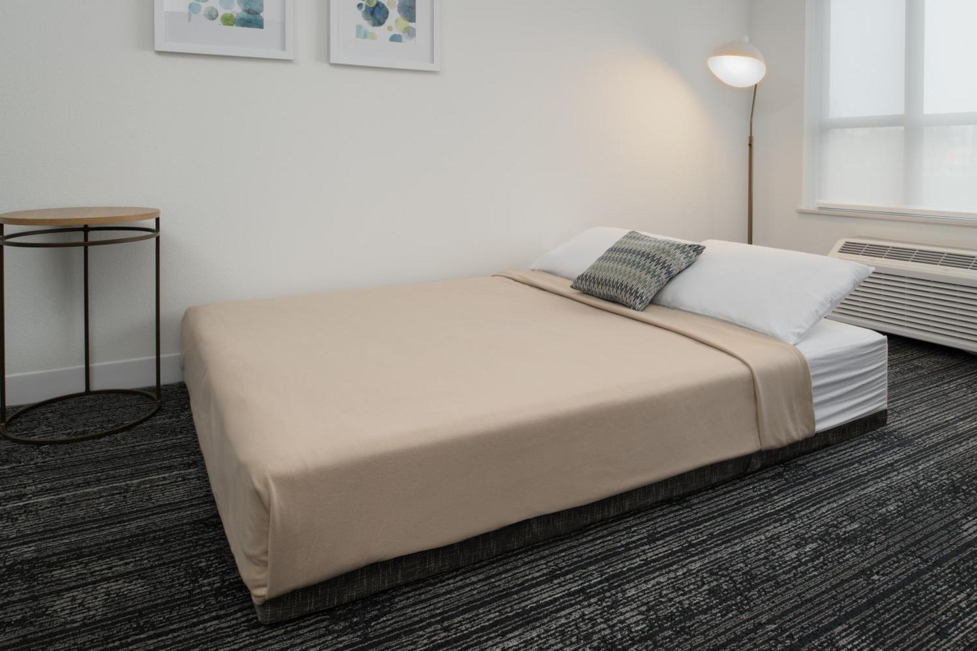 Studio One King Bed Sofa Bed Lake View