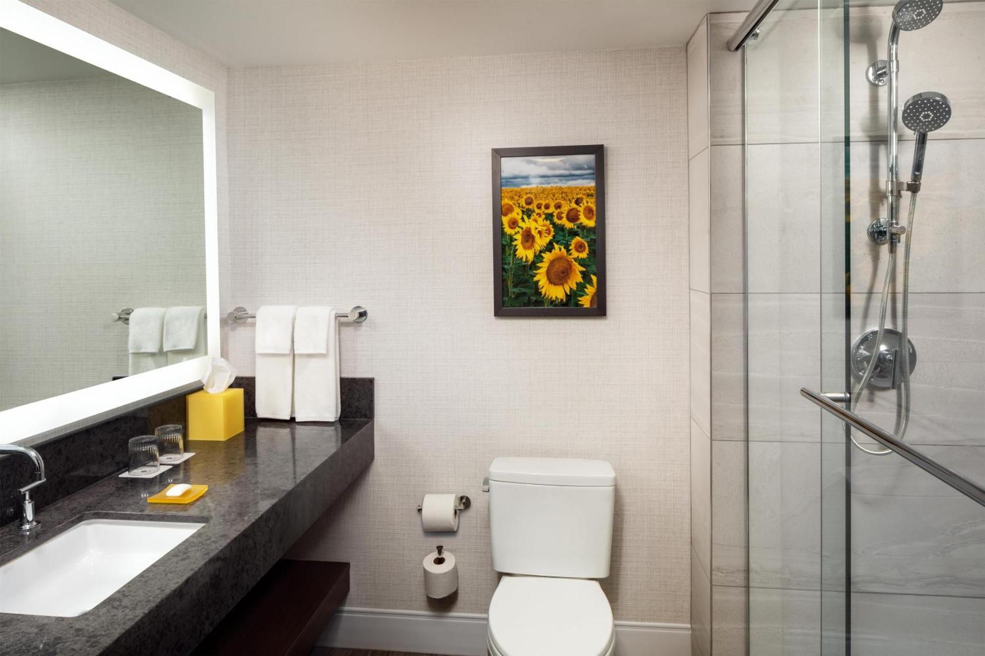 King Room Accessible Shower Disability Access