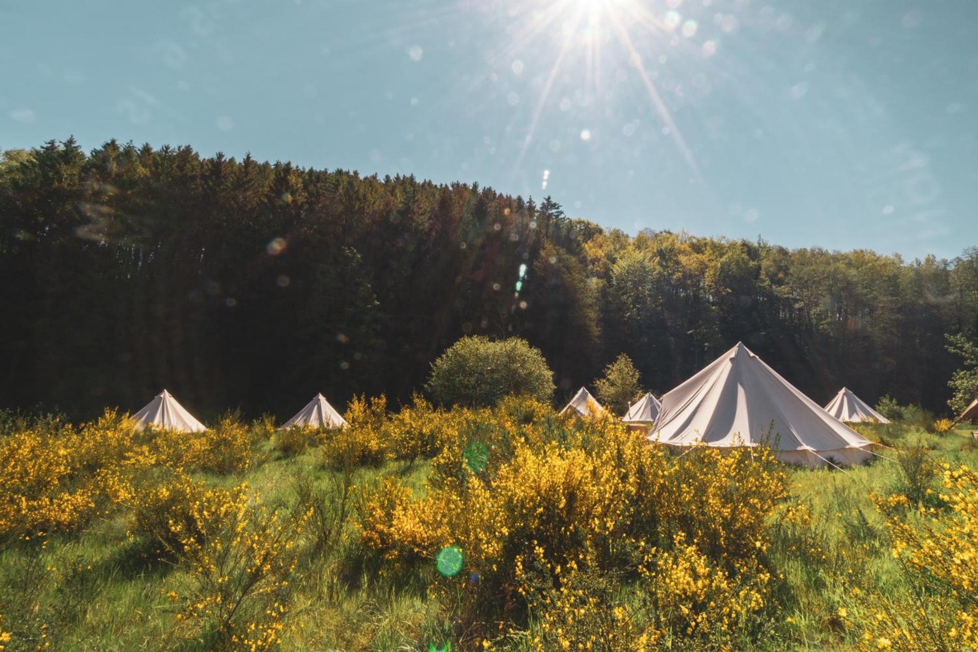 Glamping tent