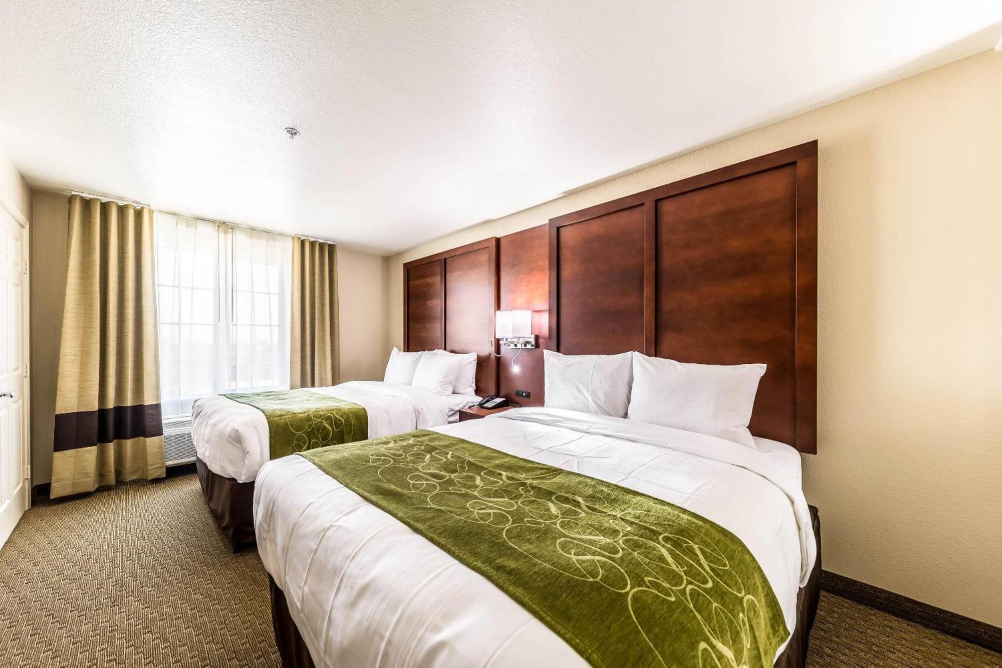 Queen Suite Two Queen Beds Sofa Bed