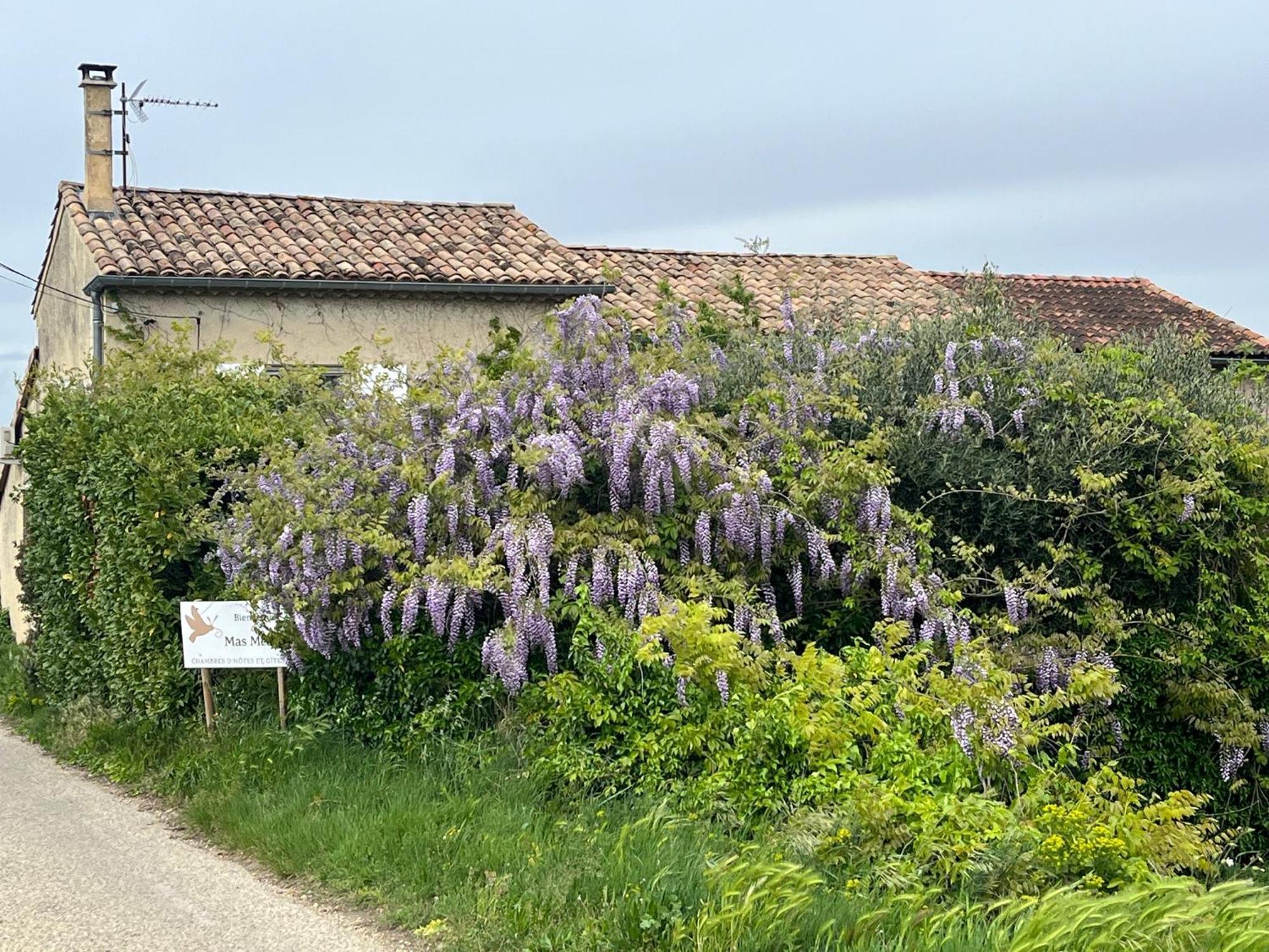 Studio Terrace