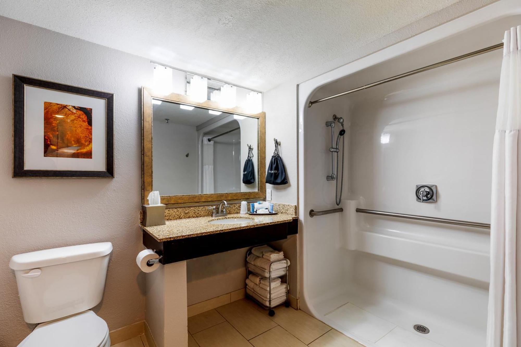 King Room Roll Shower Disability Access or Non Smoking