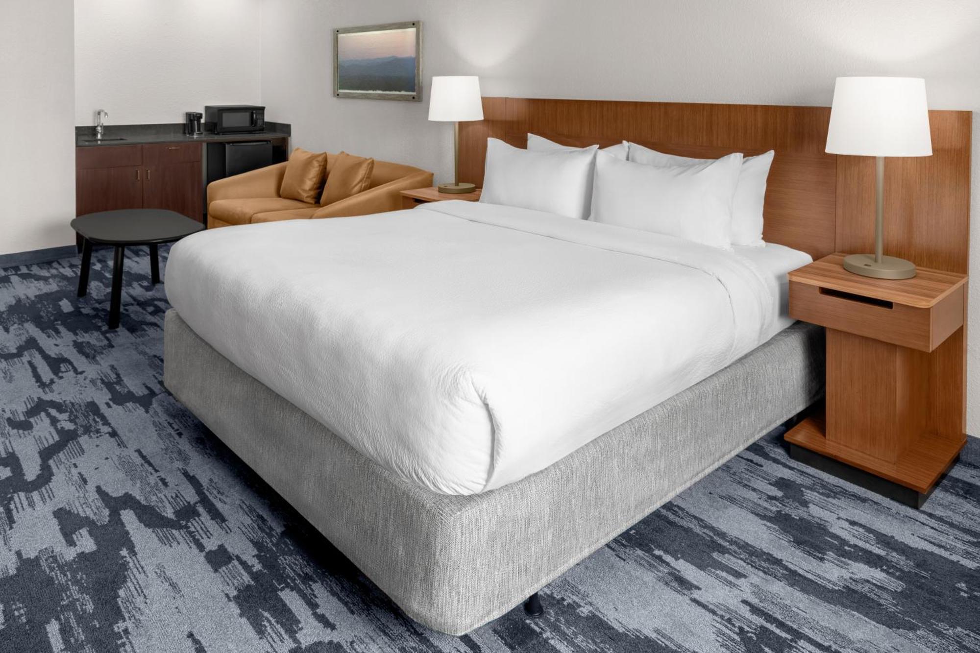 Larger King Room Sofa Bed