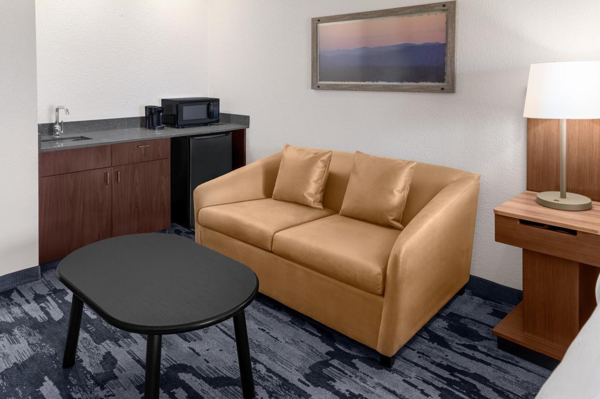 Larger King Room Sofa Bed